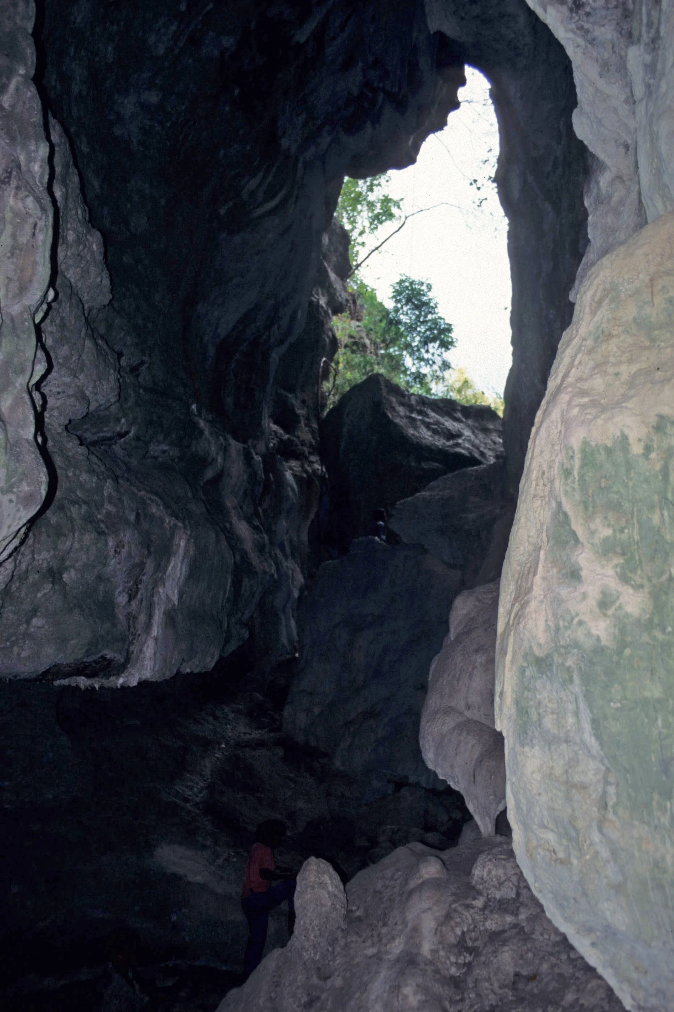 FLORES - CAVE B.jpg
