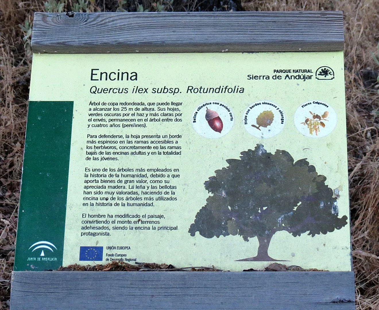 SIERRA DE ANDUJAR NATIONAL PARK SPAIN (22).JPG