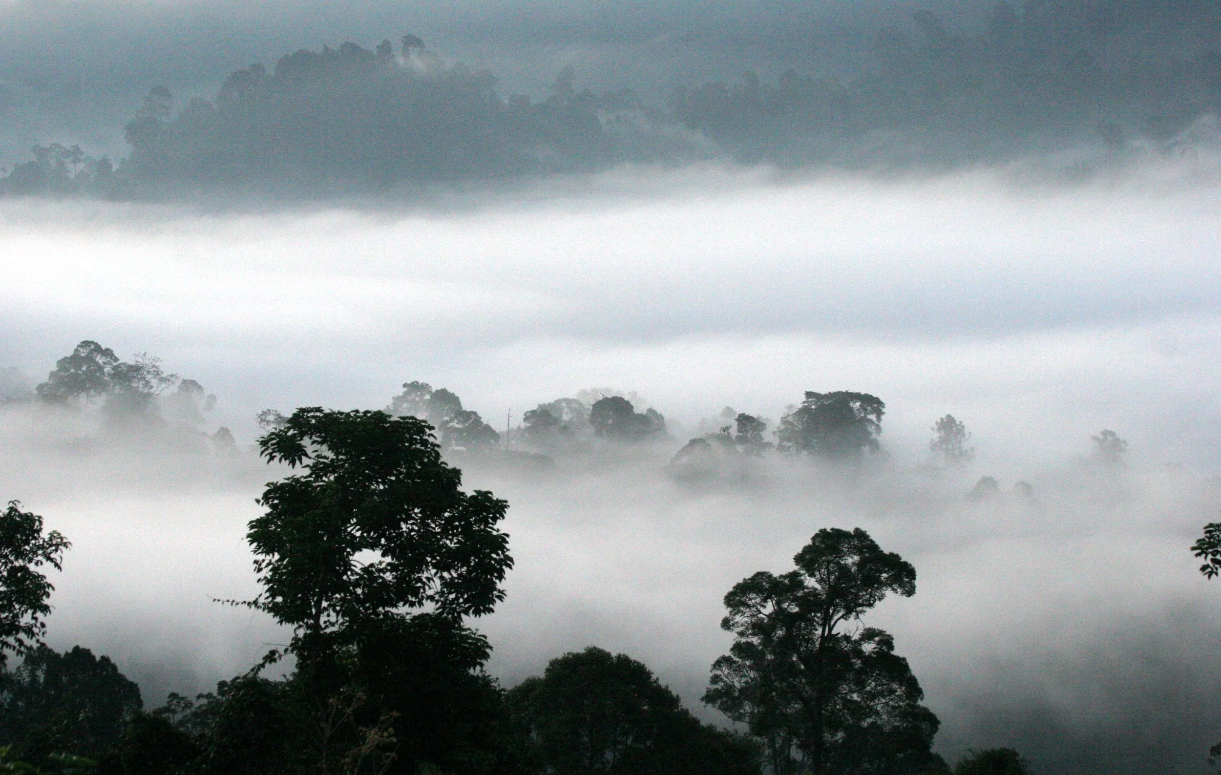DANUM VALLEY BORNEO - SUNRISE OVER THE DANUM (38).JPG