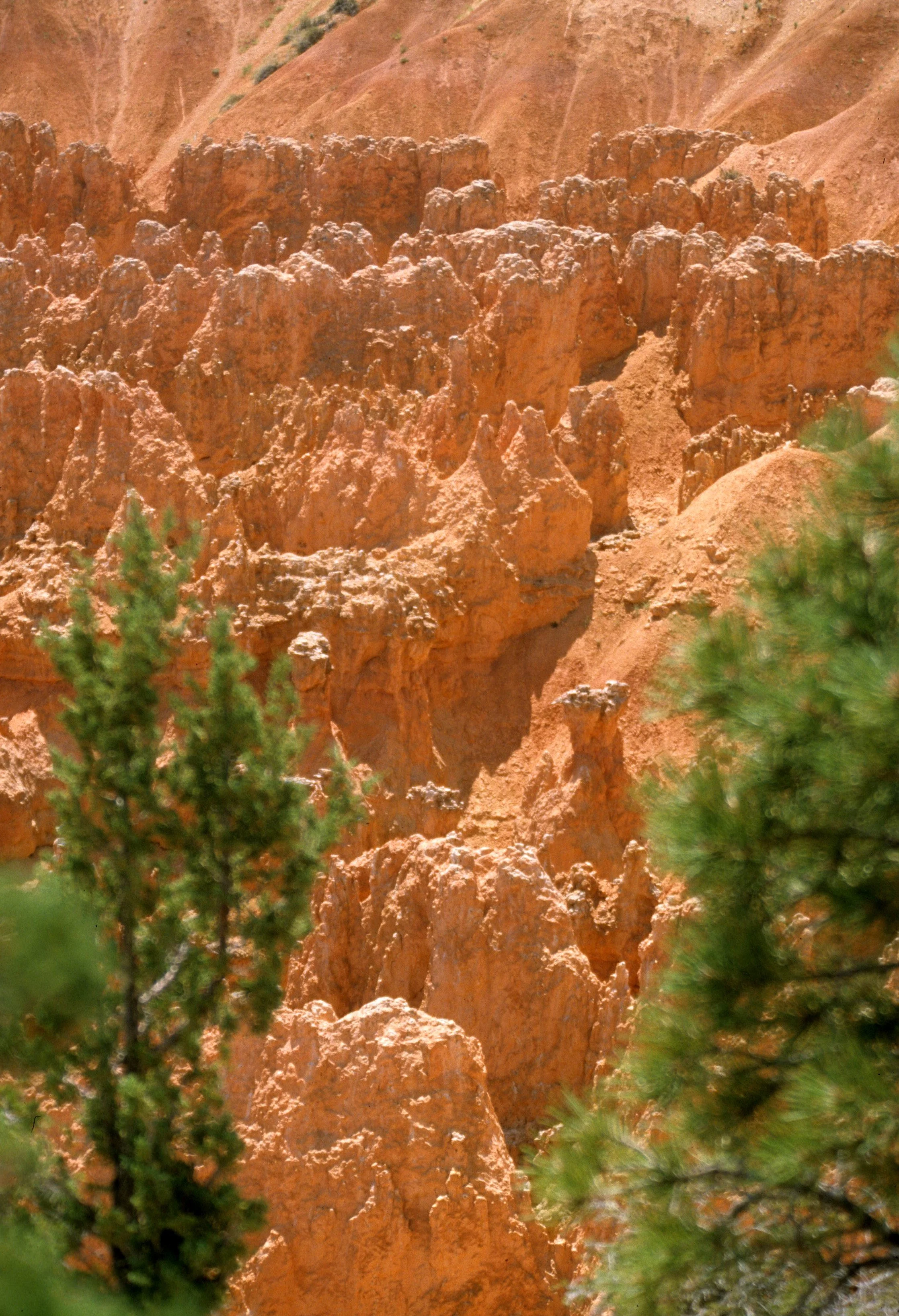 UTAH - BRYCE CANYON F.jpg
