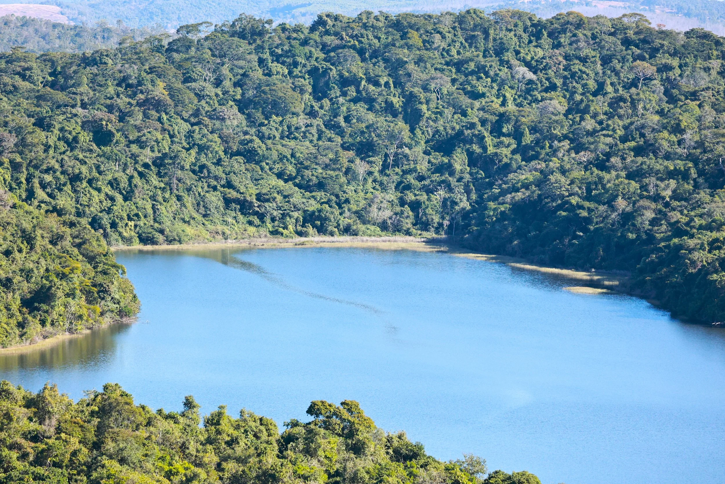Rio Doce State Park, Minas Gerais, Brazil (34).JPG