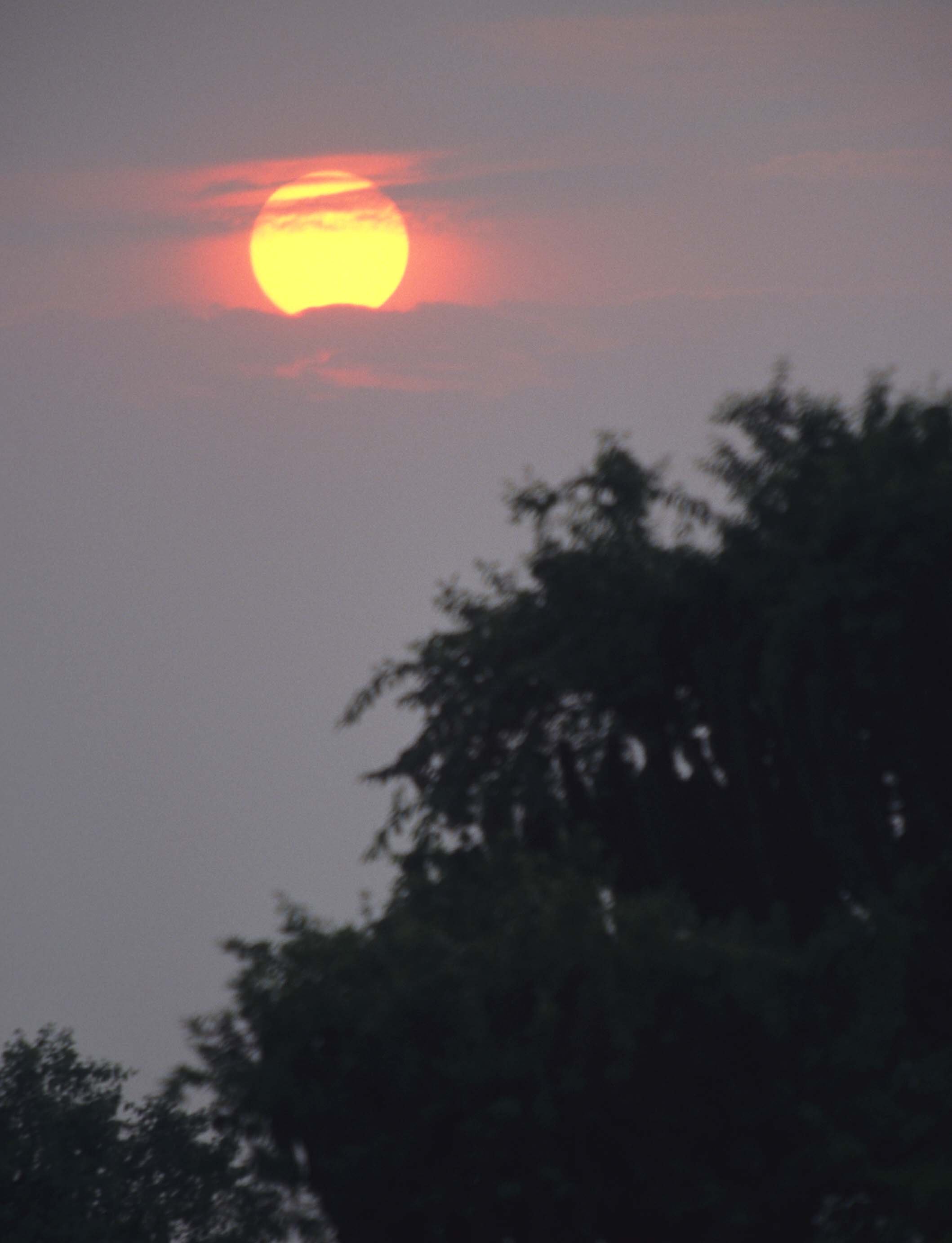 SERENGETI SUNSET.jpg
