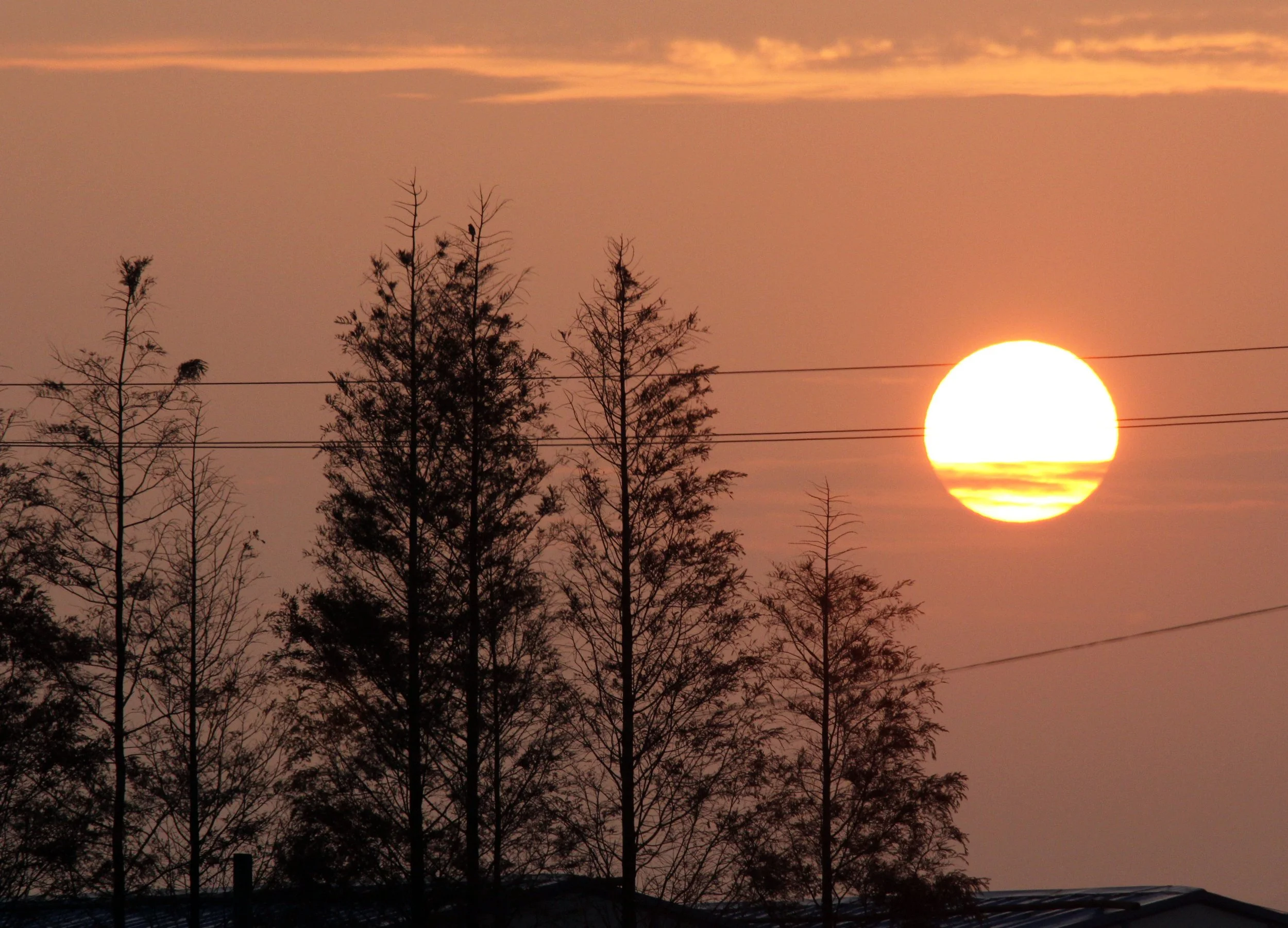 BUS RIDE TO SAS - DECEMBER 2012 (17).JPG