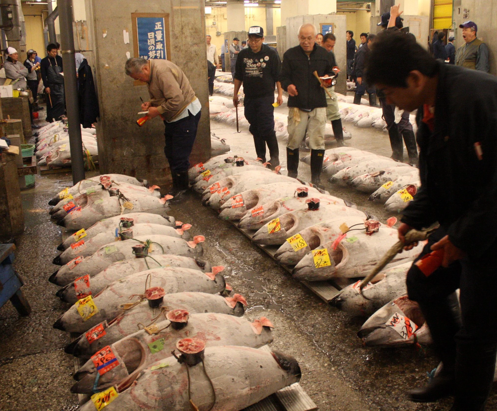TOKYO - MAY 2009 - TSUKIJI MARKET (2).JPG