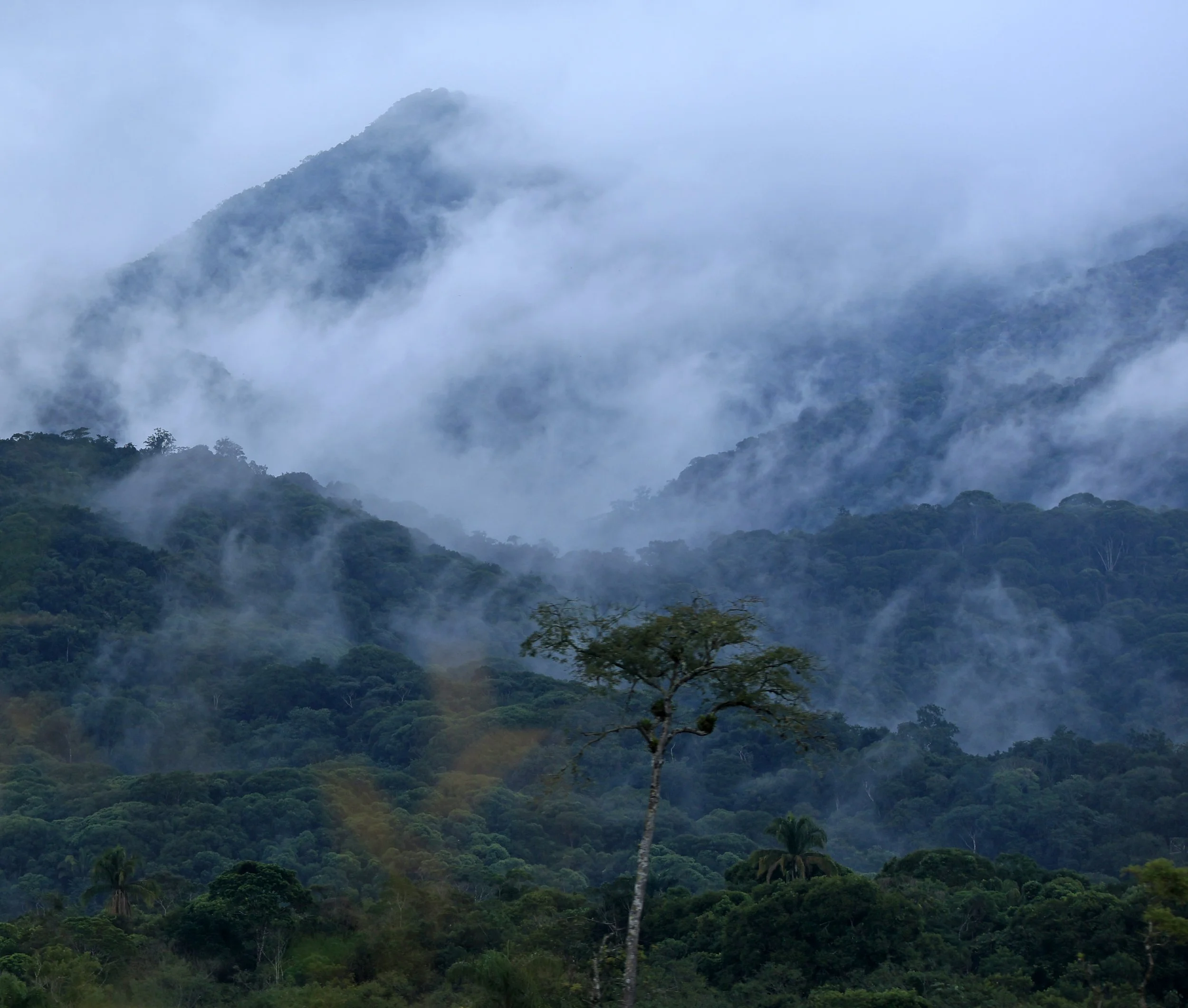 Superagüi National Park