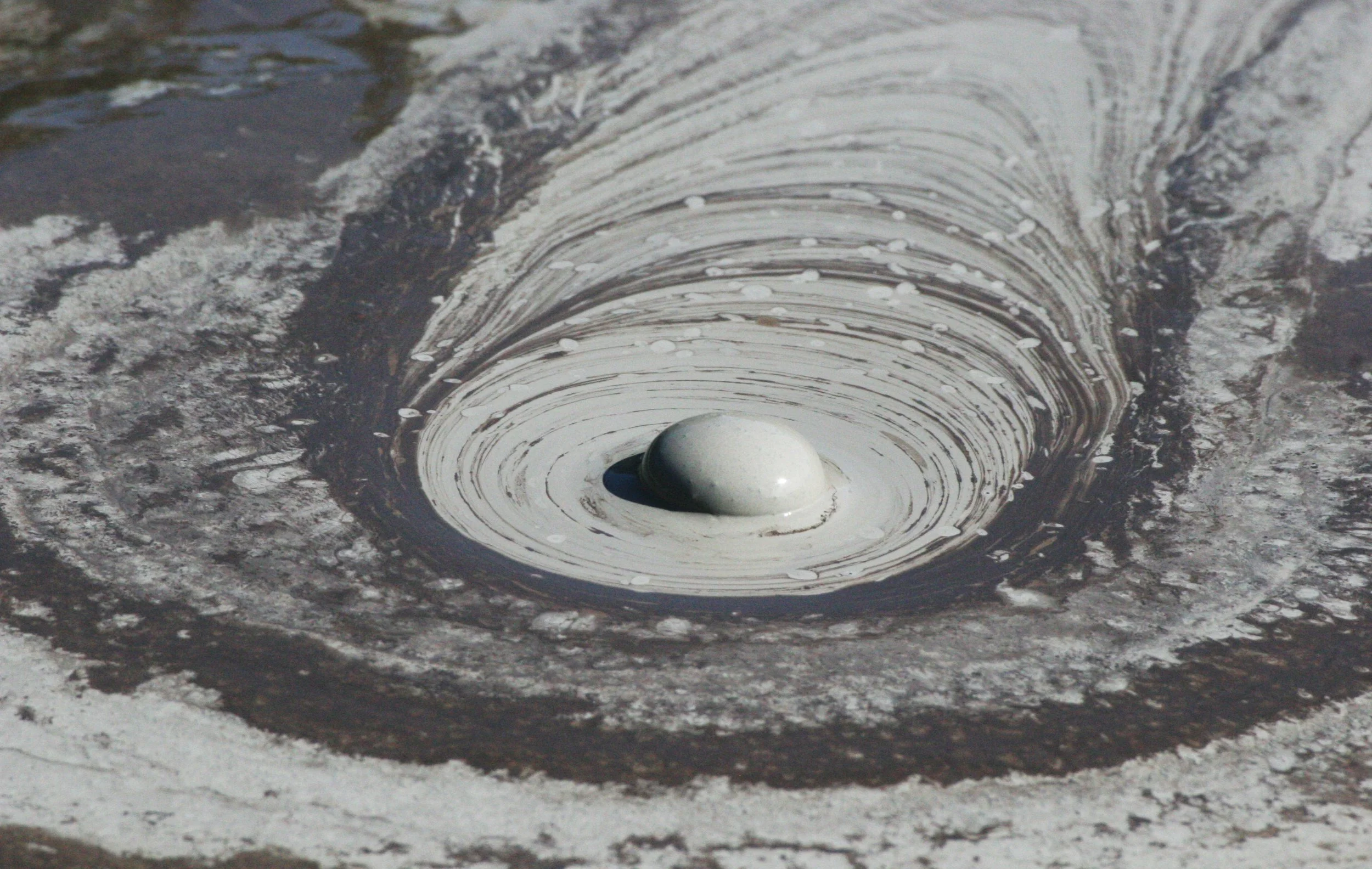 TABIN WILDLIFE RESERVE BORNEO - MUD VOLCANOES (28).JPG
