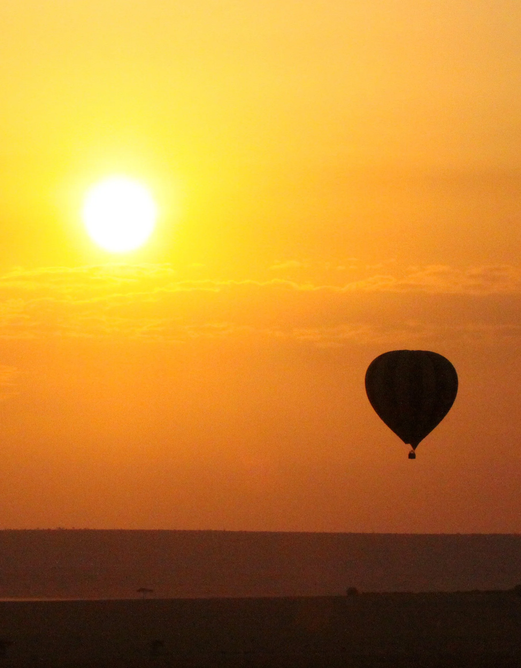 MASAI MARA NATIONAL PARK KENYA (205).JPG