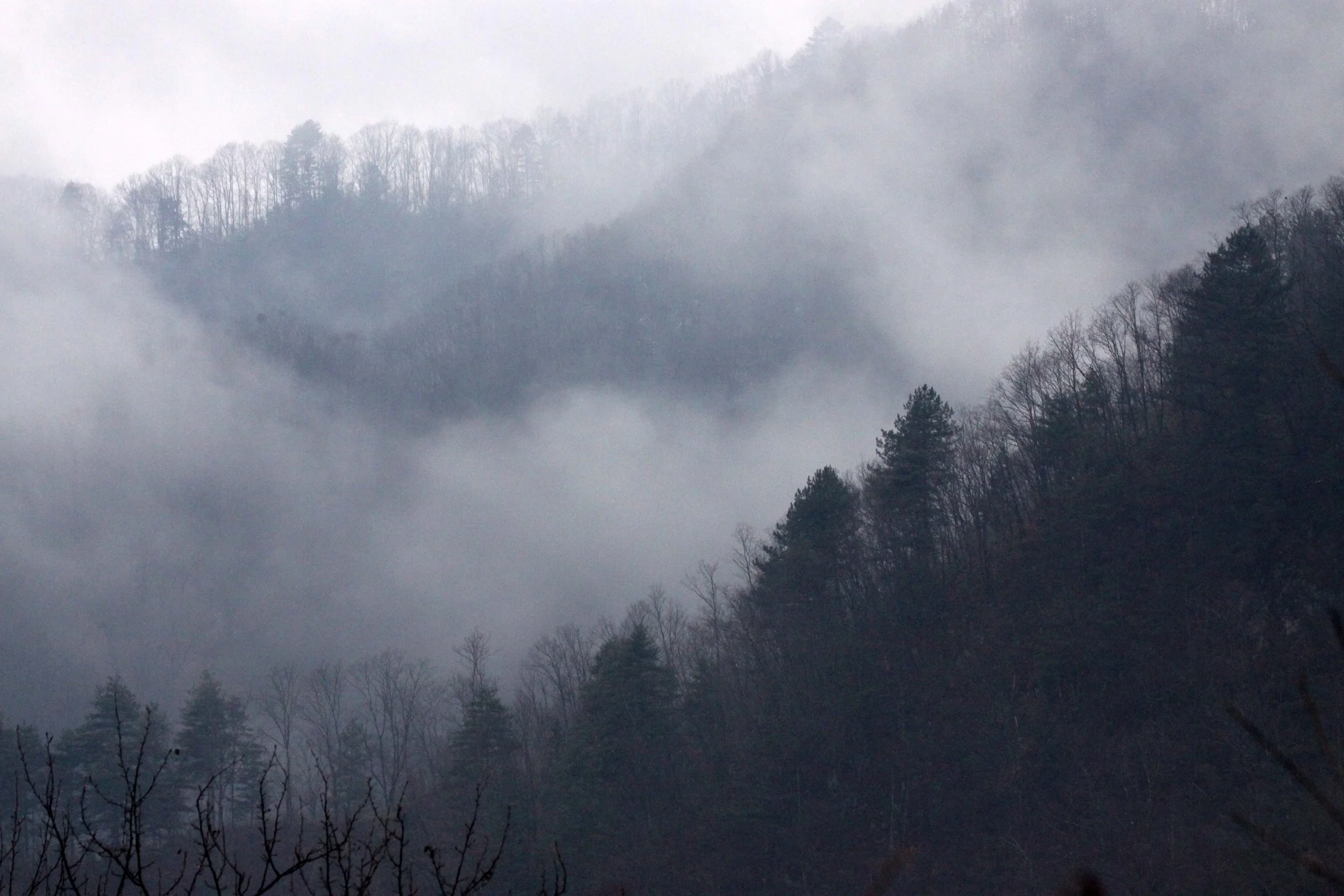 FOPING NATURE RESERVE SHAANXI PROVINCE CHINA (11).JPG