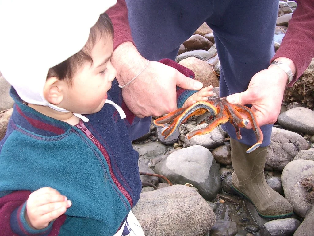 2004-3-12 LAKE FARM DAY AT THE BEACH (21).JPG