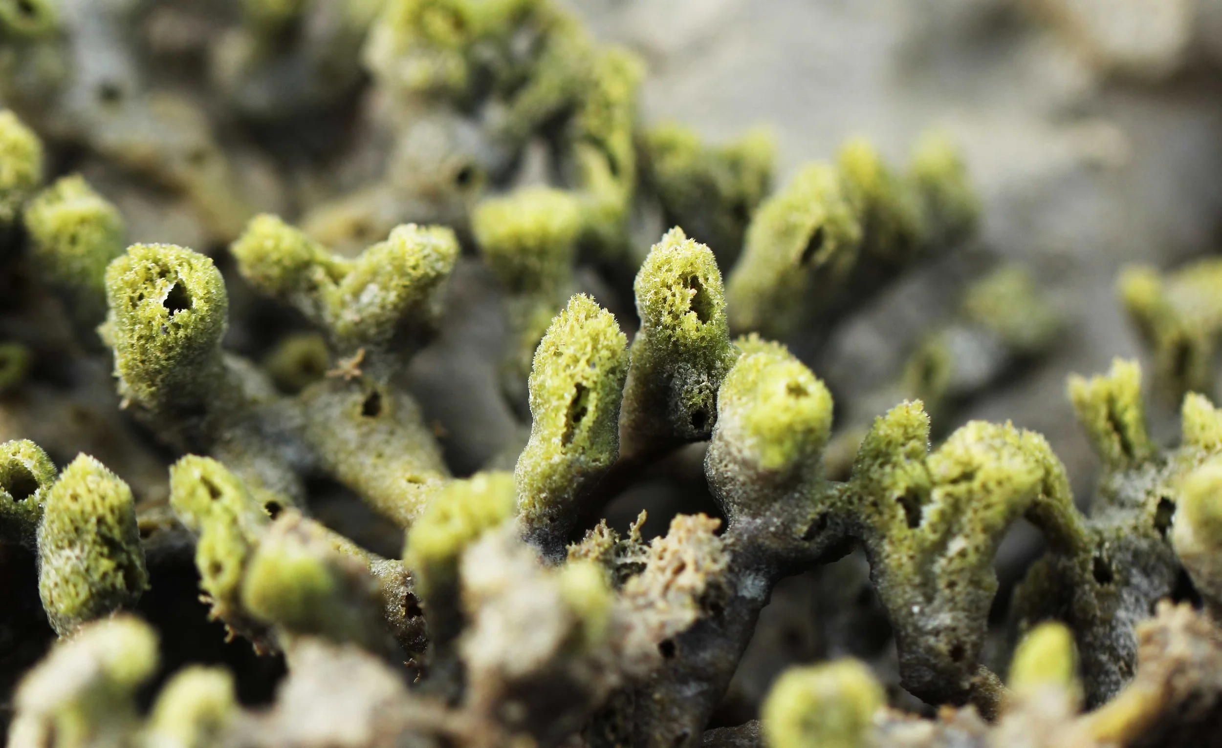 2015 Koh Lanta Songkran Break (27).JPG