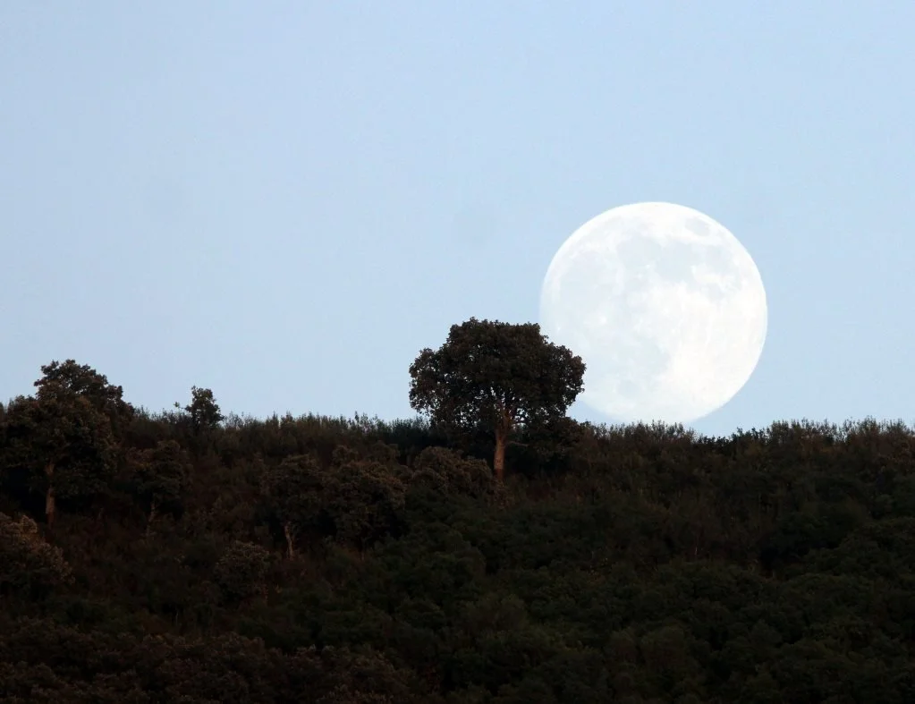 2013 Bangkok Early Days (83).JPG