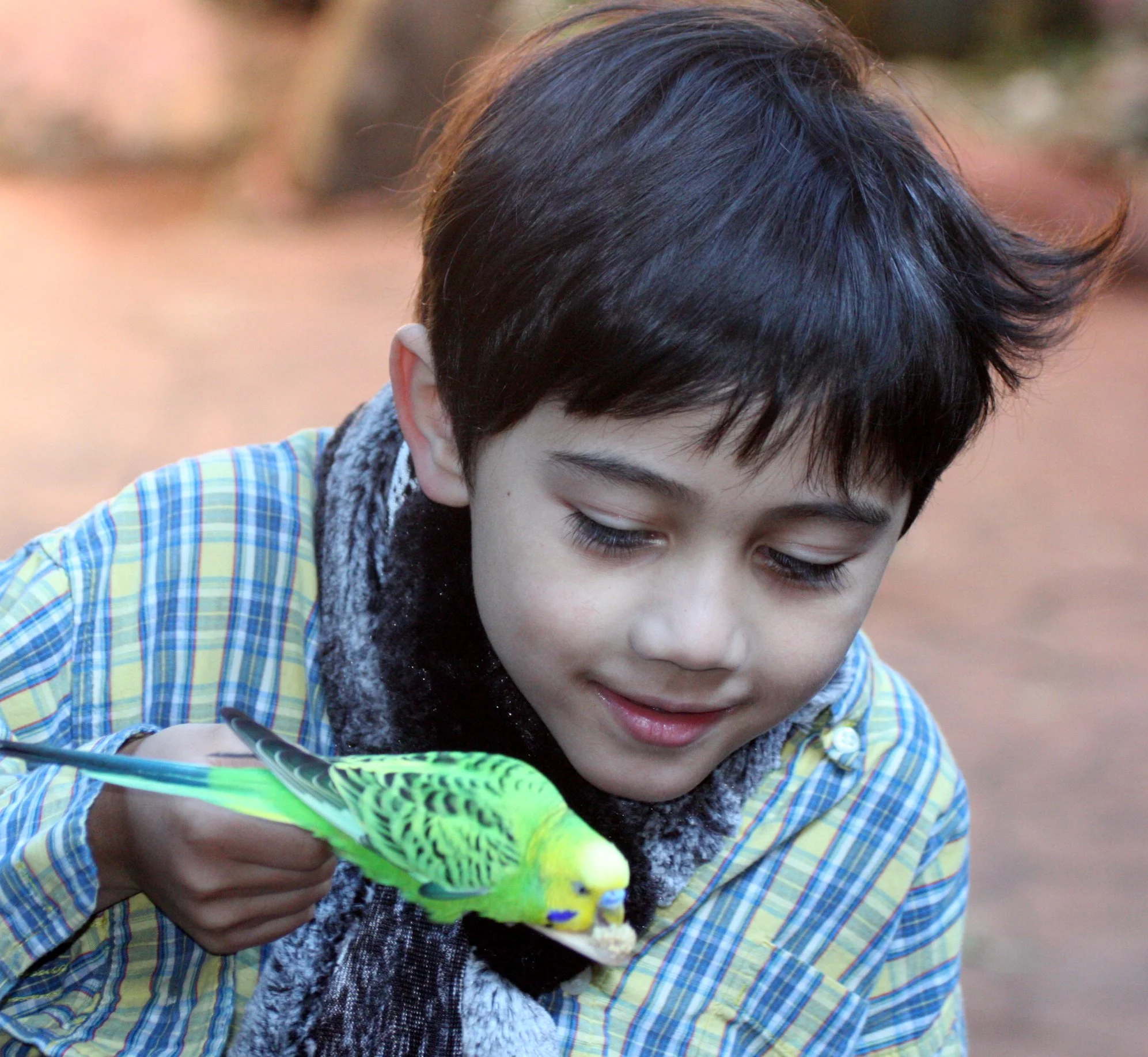 2008-10-18 DAY AT WOODLAND PARK ZOO SEATTLE (8).JPG