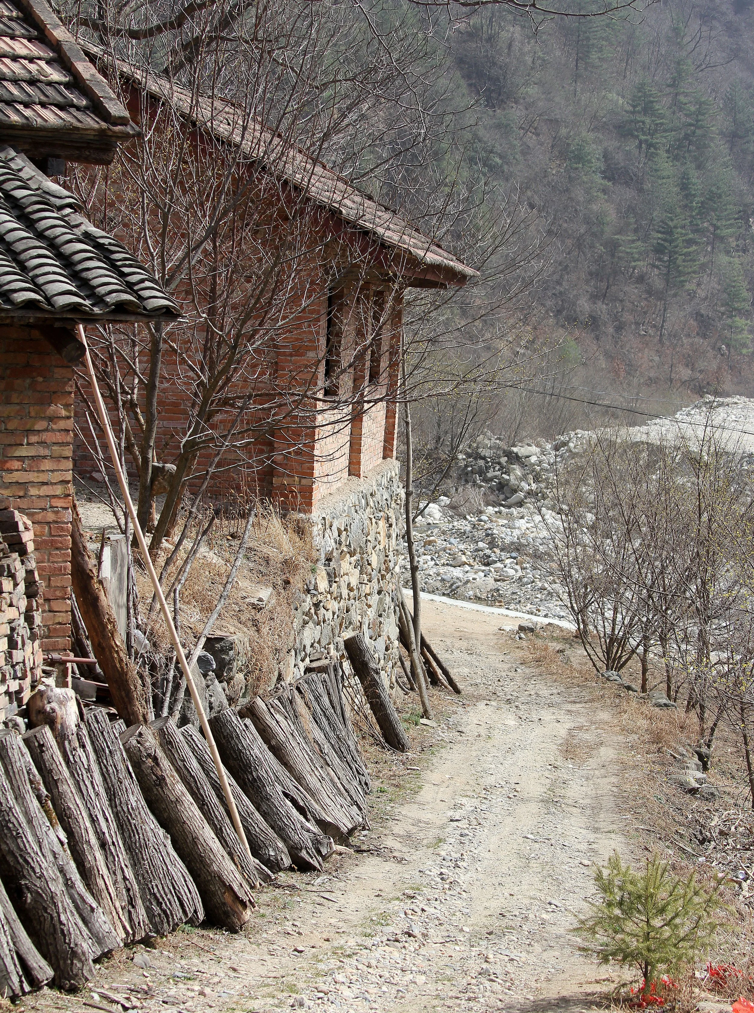 FOPING NATURE RESERVE, SHAANXI CHINA (21).JPG