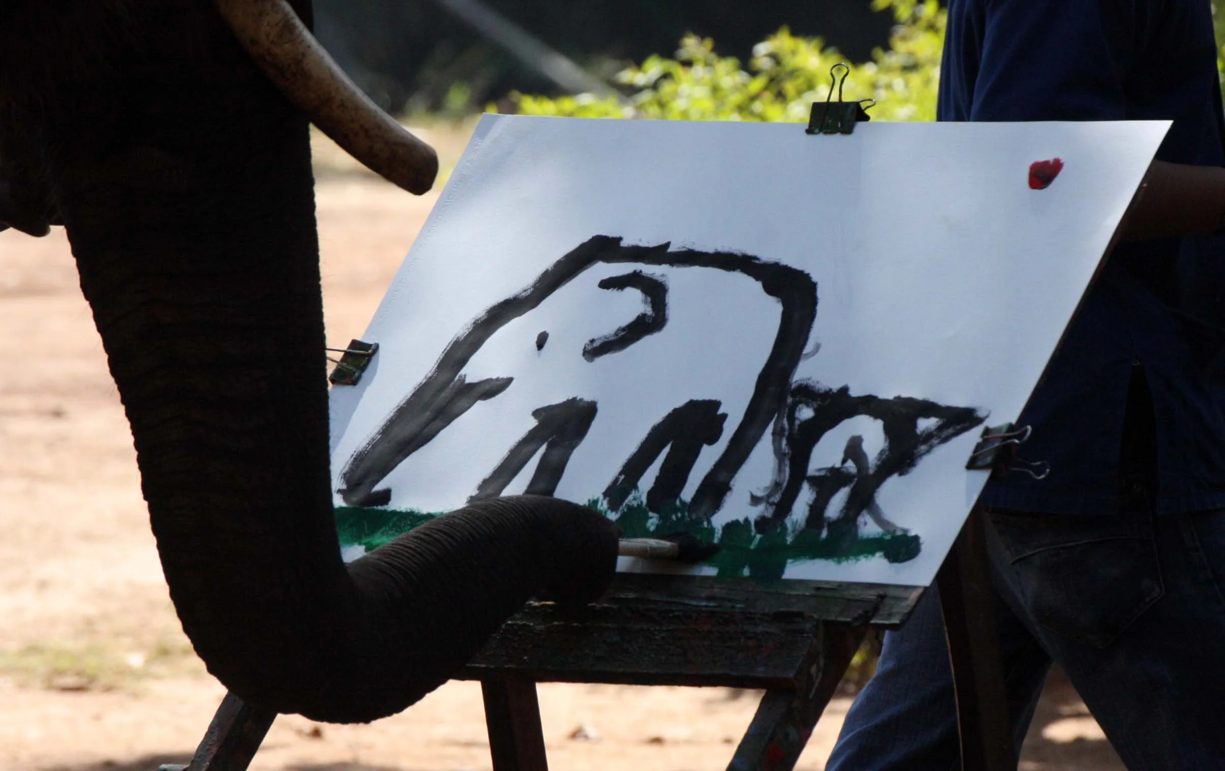 2008 Lampang City & Elephant Center (52).JPG