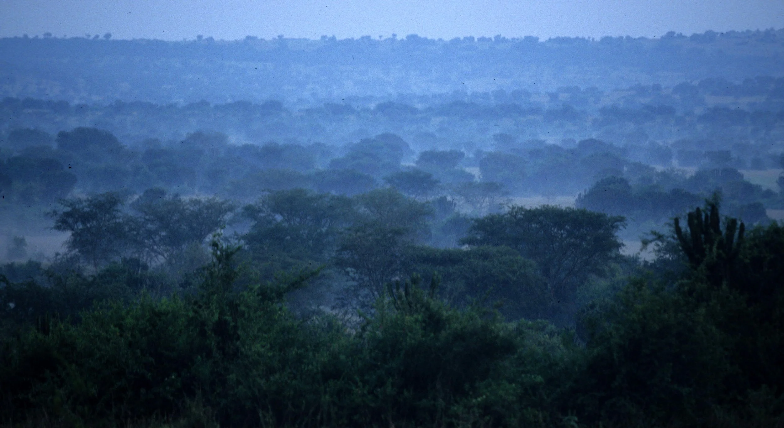 UGANDA - SAVANAH HABITAT.jpg