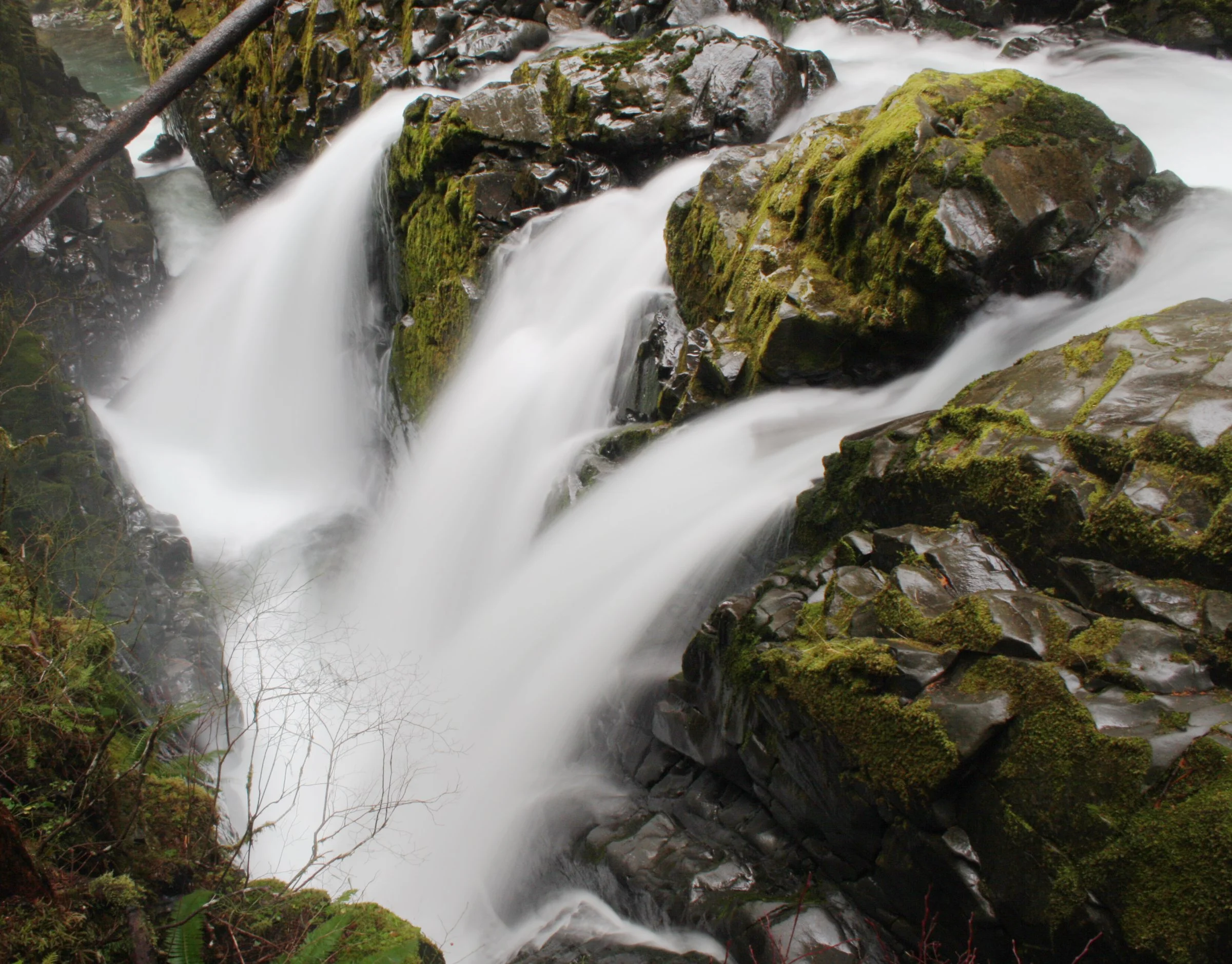 SOL DUC FALLS AND FOREST - ONP WA (43).JPG