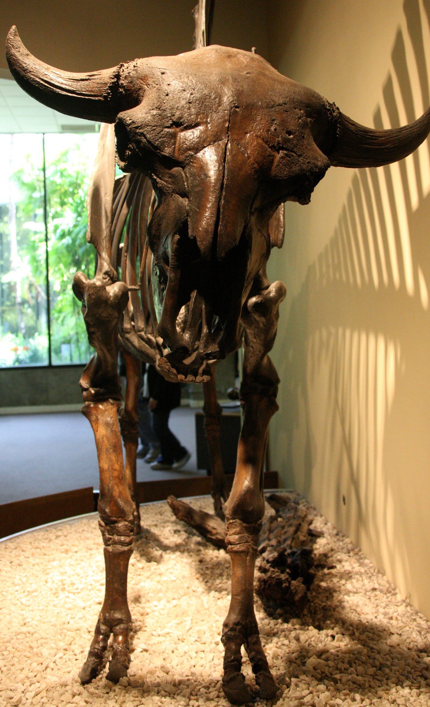 2010-4-5 LA BREA TAR PITS LOS ANGELES (8).JPG
