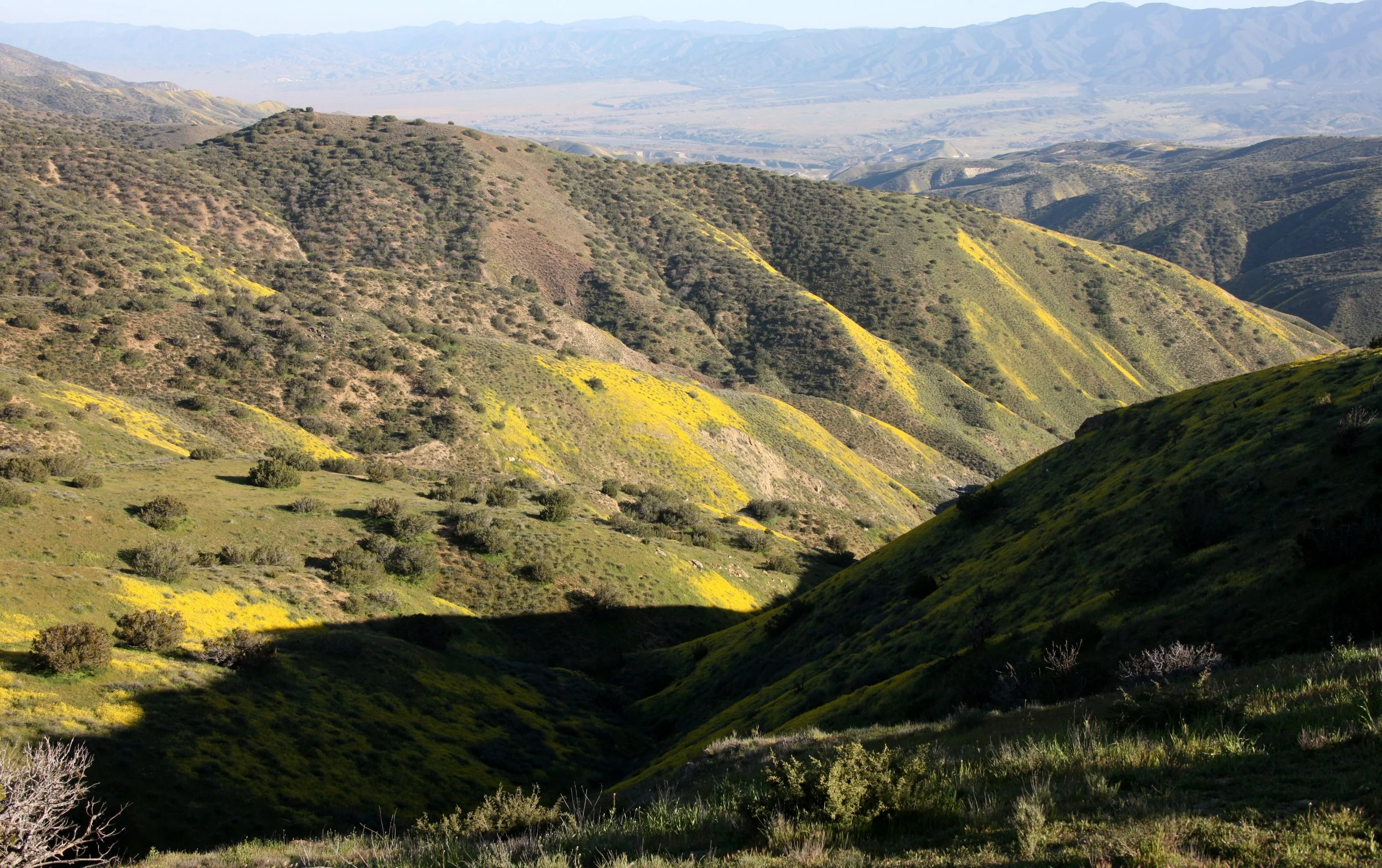CARRIZO PLAIN NATIONAL MONUMENT - VIEWS OF THE REGION - ROADTRIP 2010 (18).JPG