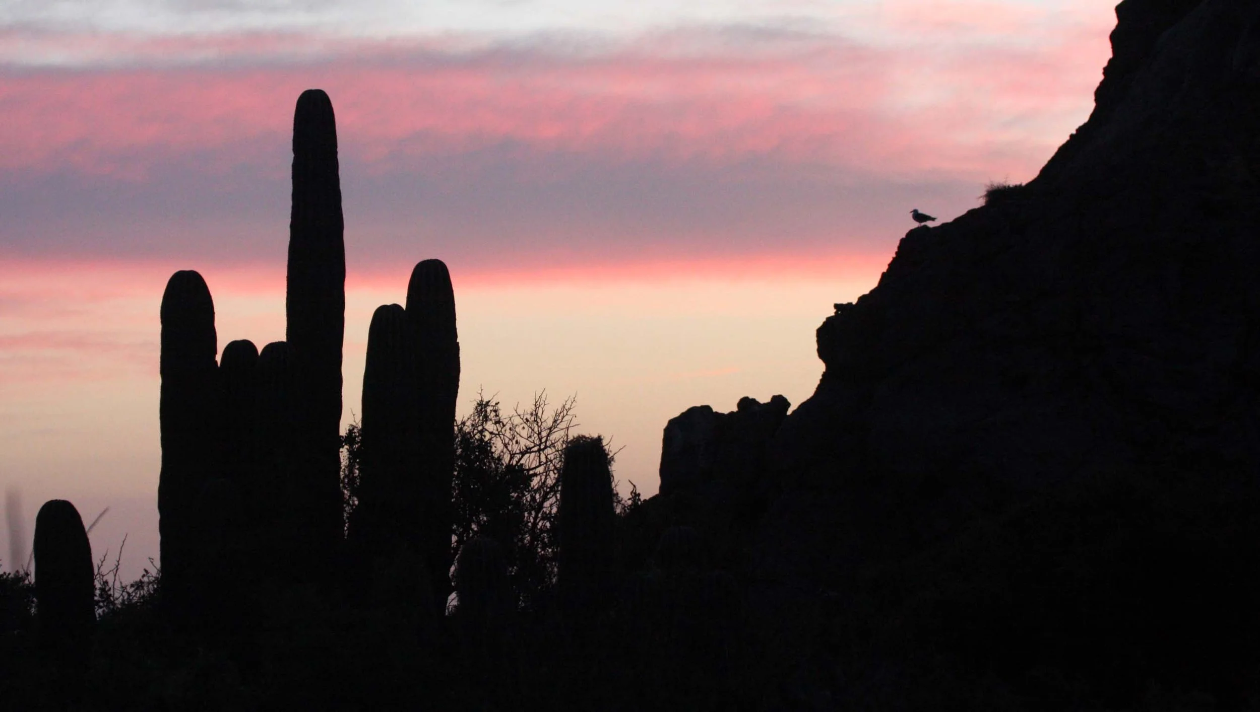 ISLA SANTA CATALINA BAJA MEXIO - SUNSET LANDSCAPES (32).JPG