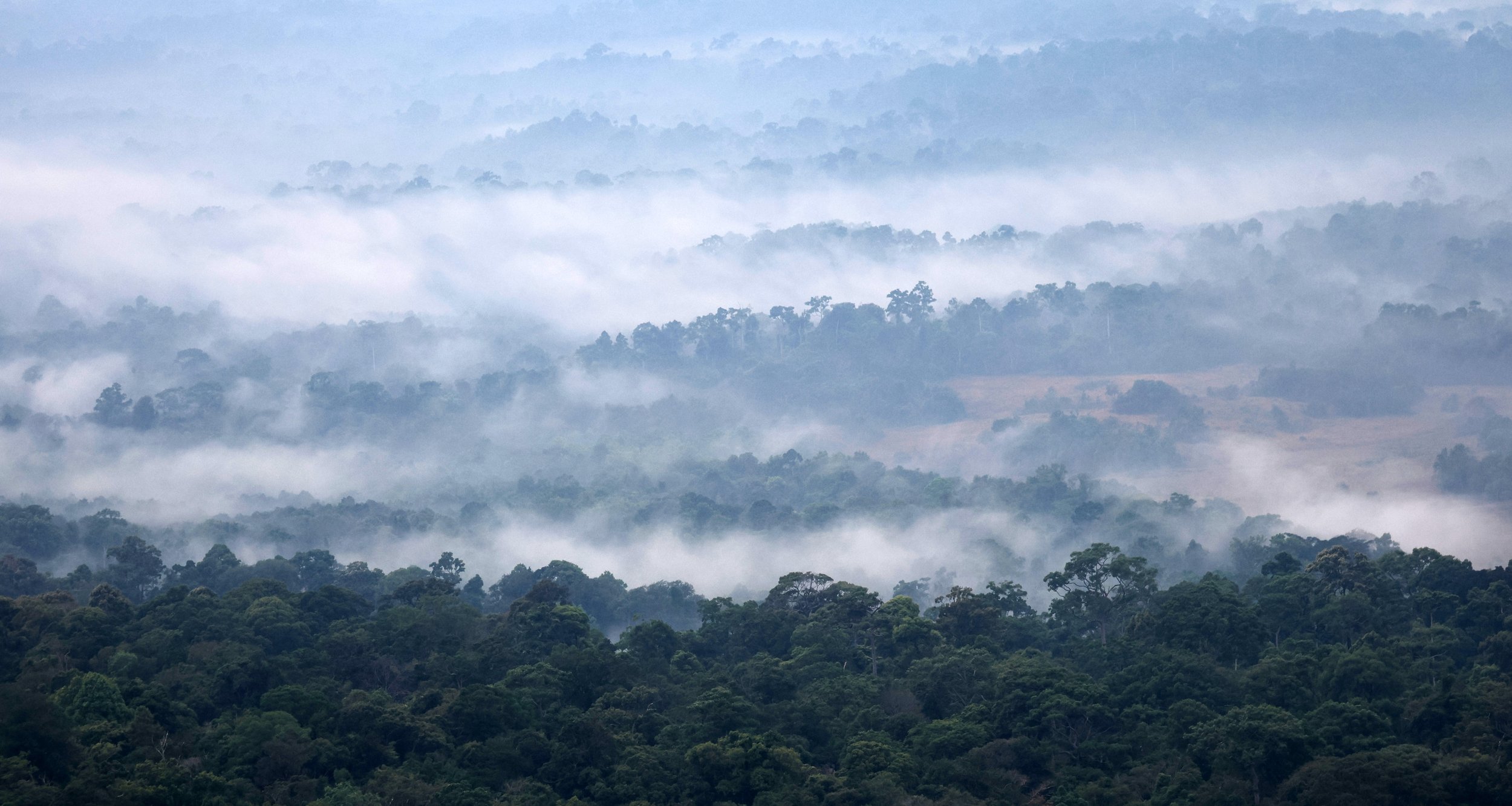 Thale Mog!  Sea of Fog is quite a sight from Khao Khieo viewpoint.