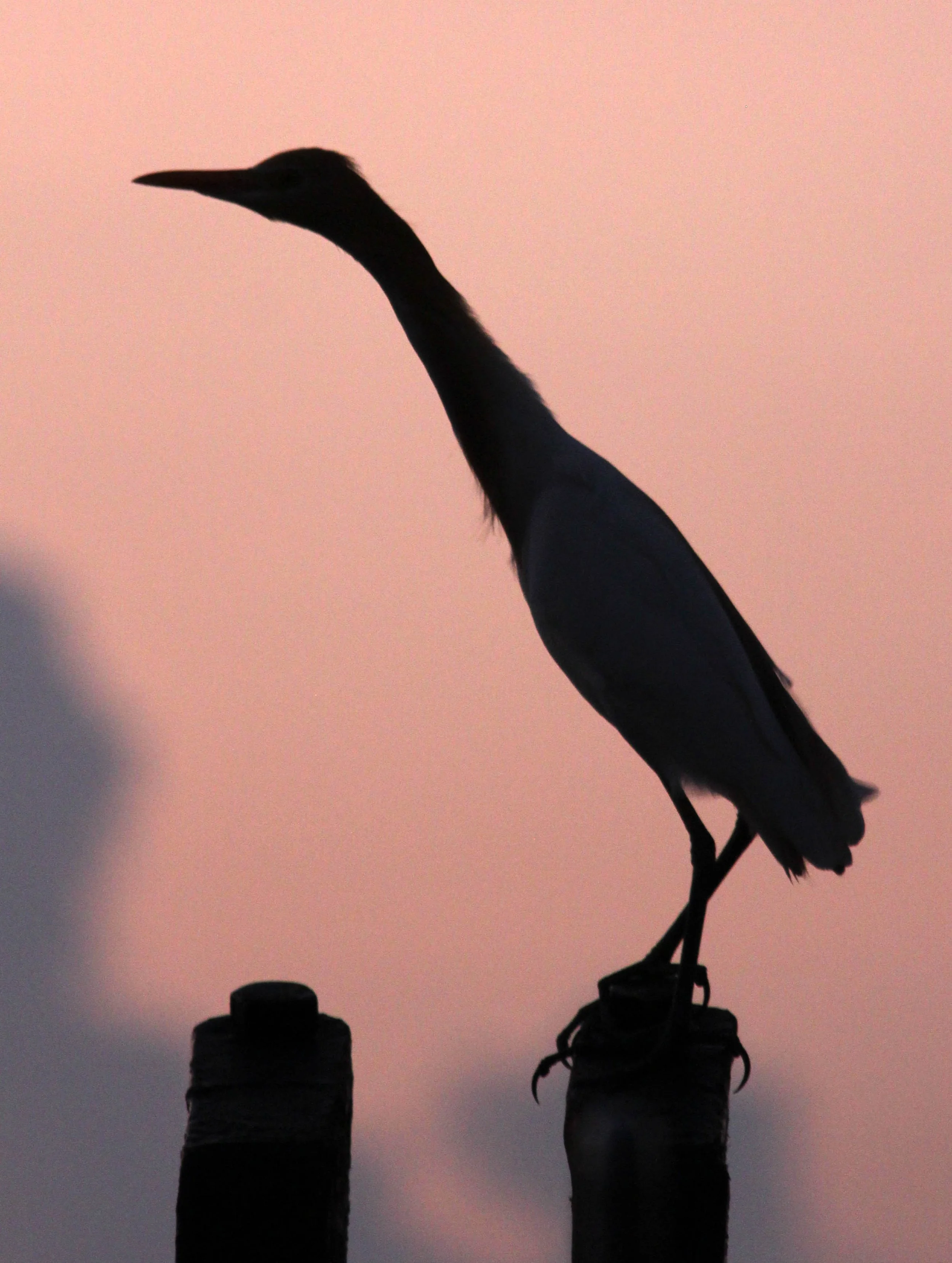 2014 Similans Trip with Family on The Junk (249).JPG