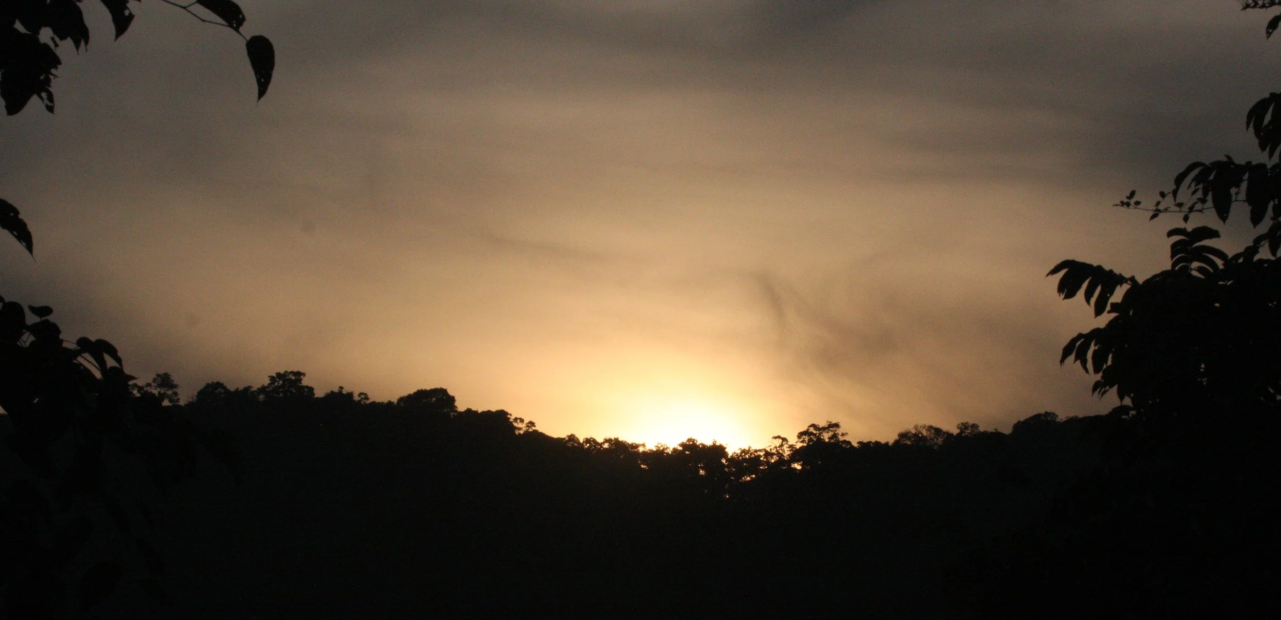 KAENG KRACHAN NATIONAL PARK THAILAND - FOREST SCENES (35).JPG