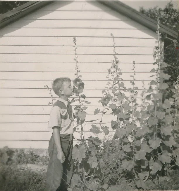 1950-06-18 Bumpa's- Ehrlich checks on the biology of the Hollyhock.jpg