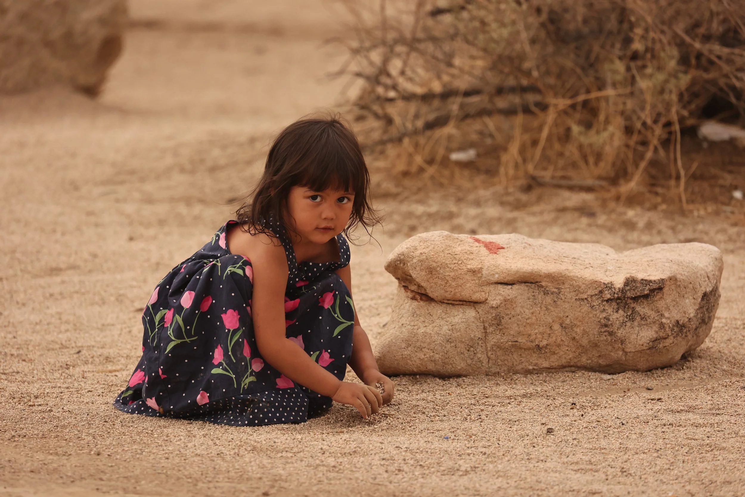 JOSHUA TREE NATIONAL PARK CALIFORNIA 2022 (5).JPG