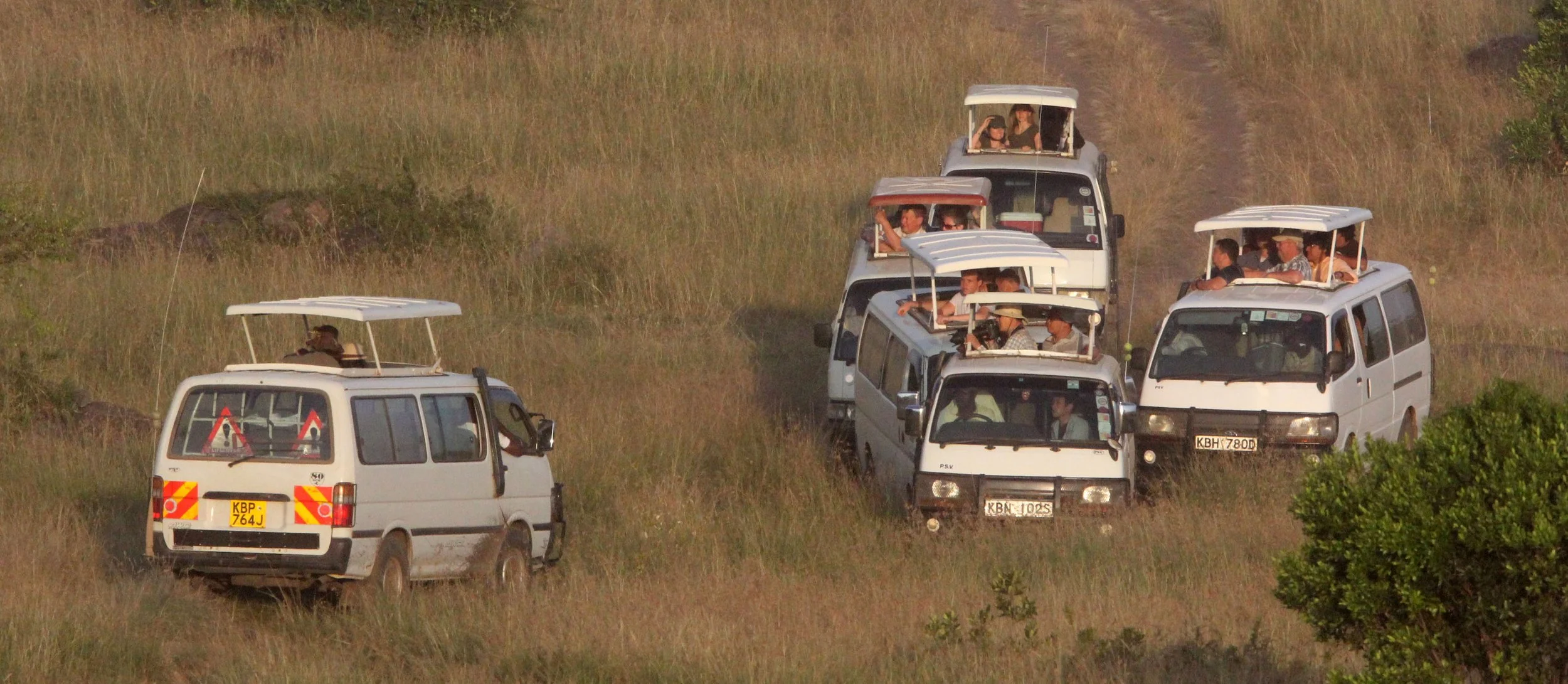 MASAI MARA NATIONAL PARK KENYA (1).JPG