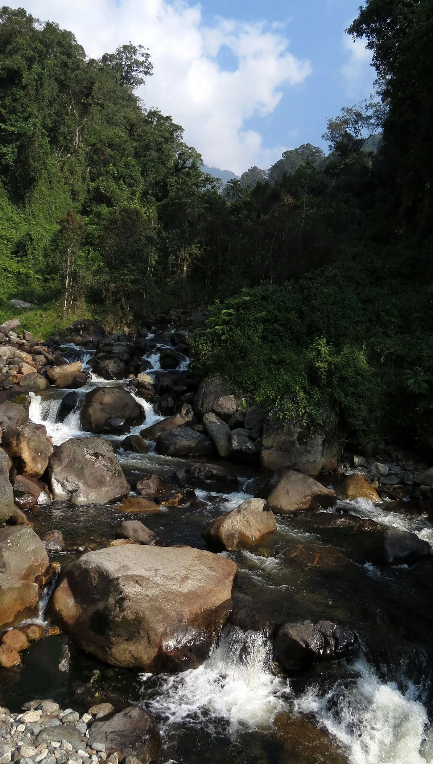 RWENZORI NATIONAL PARK UGANDA (84).JPG