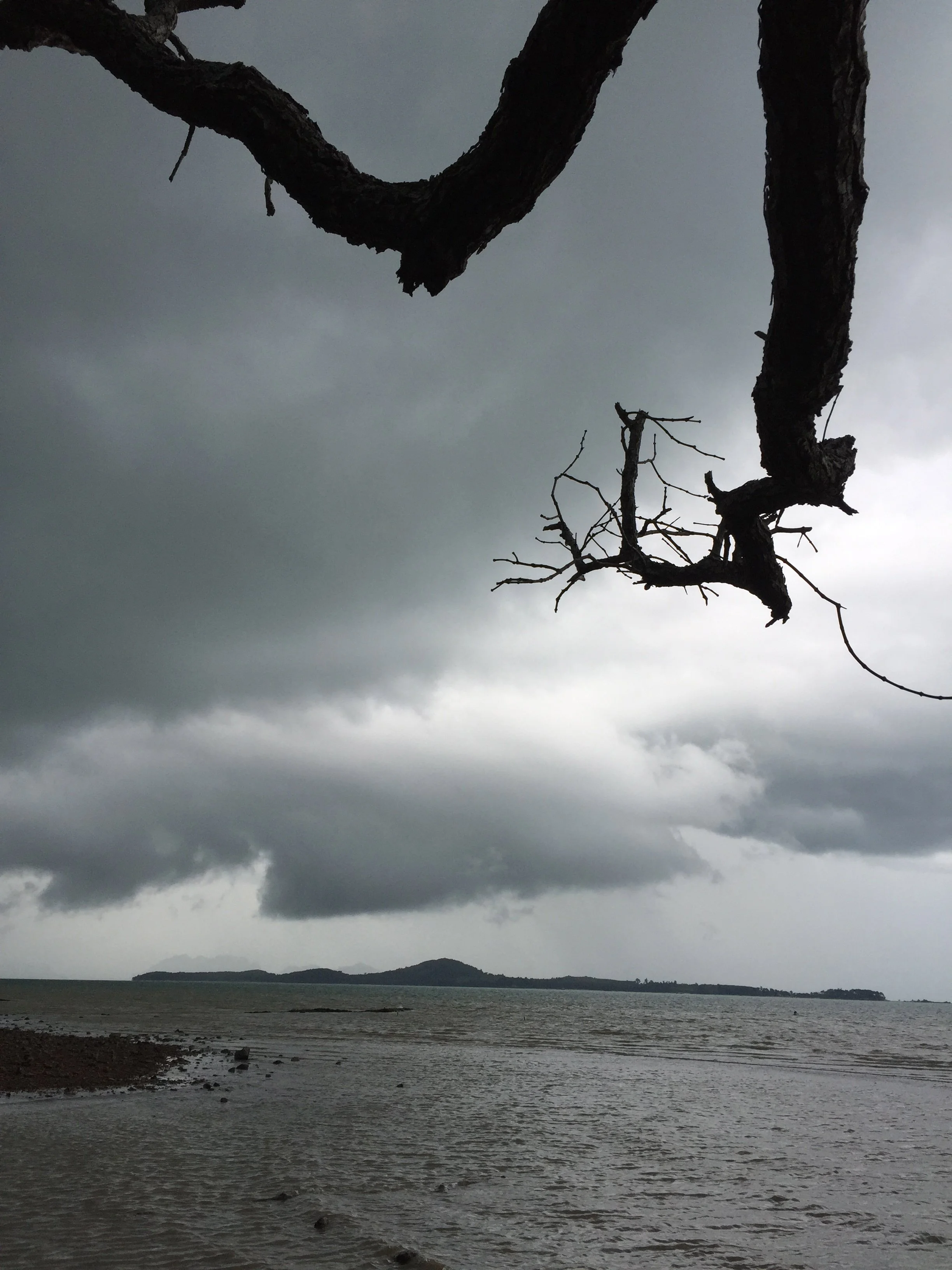 2015 Koh Lanta Garden & Nature (239).jpg