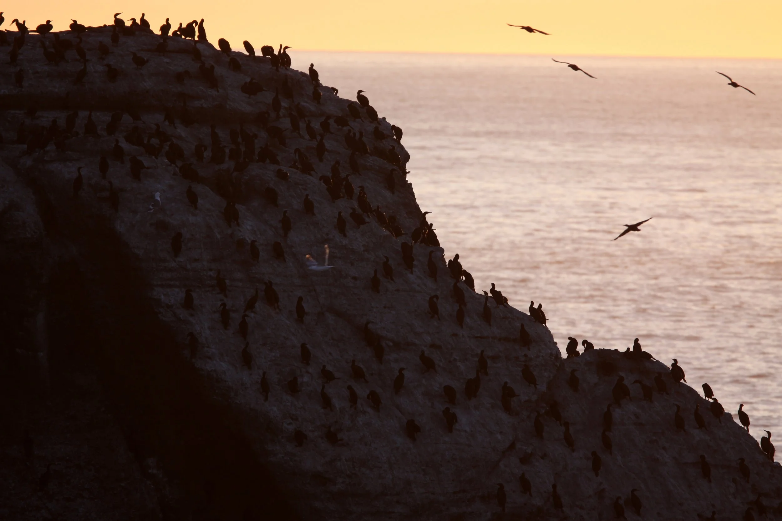 CAPE FLATTERY - SUNSET IN FEBRUARY 2010 (25).JPG