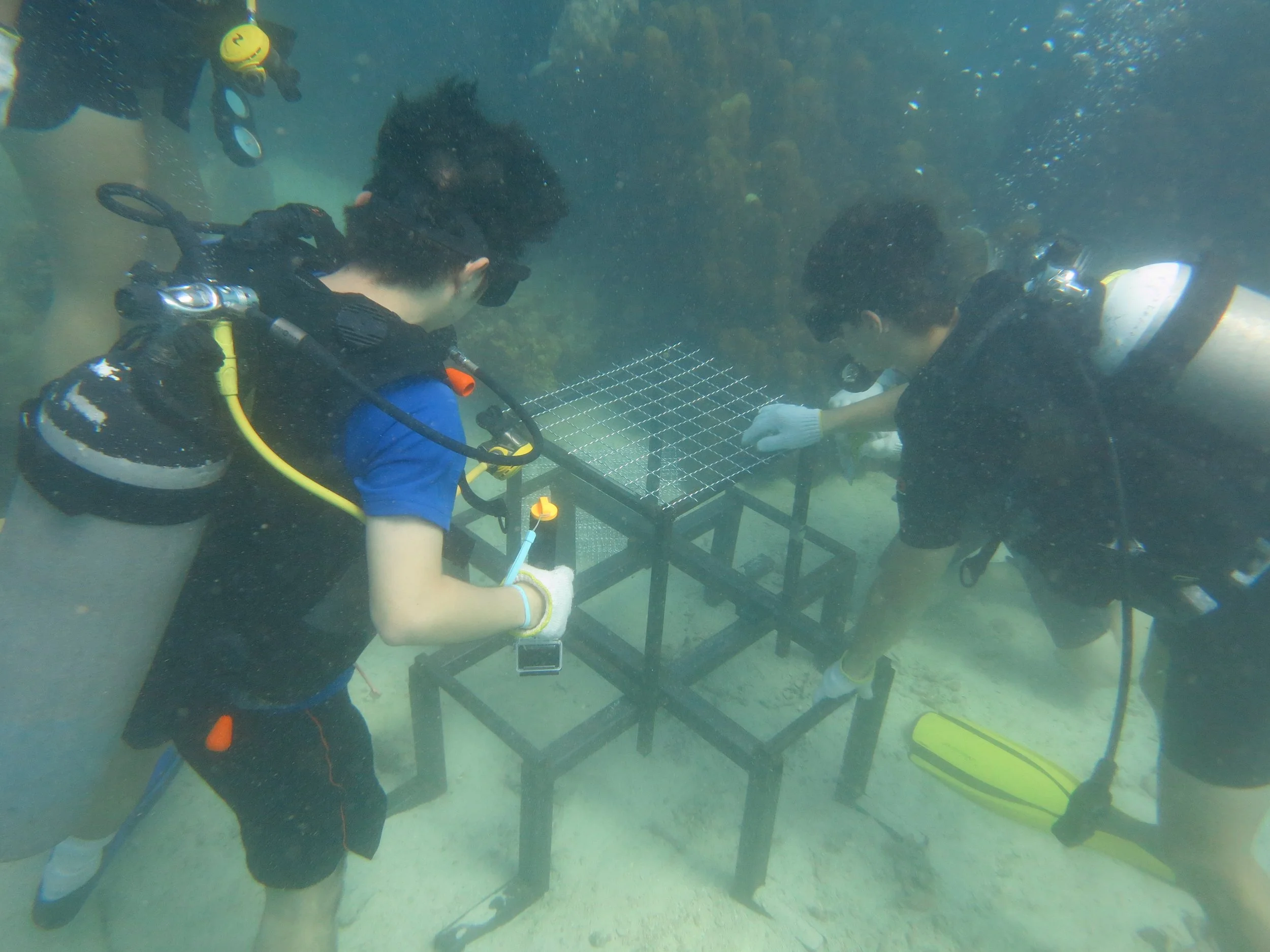 2016 BPS Satthahip Dive Trip with Marine Conservation Club (20).JPG