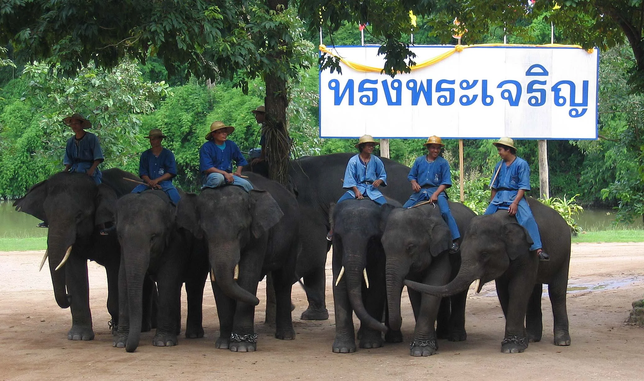 2008 Lampang City & Elephant Center (131).jpg
