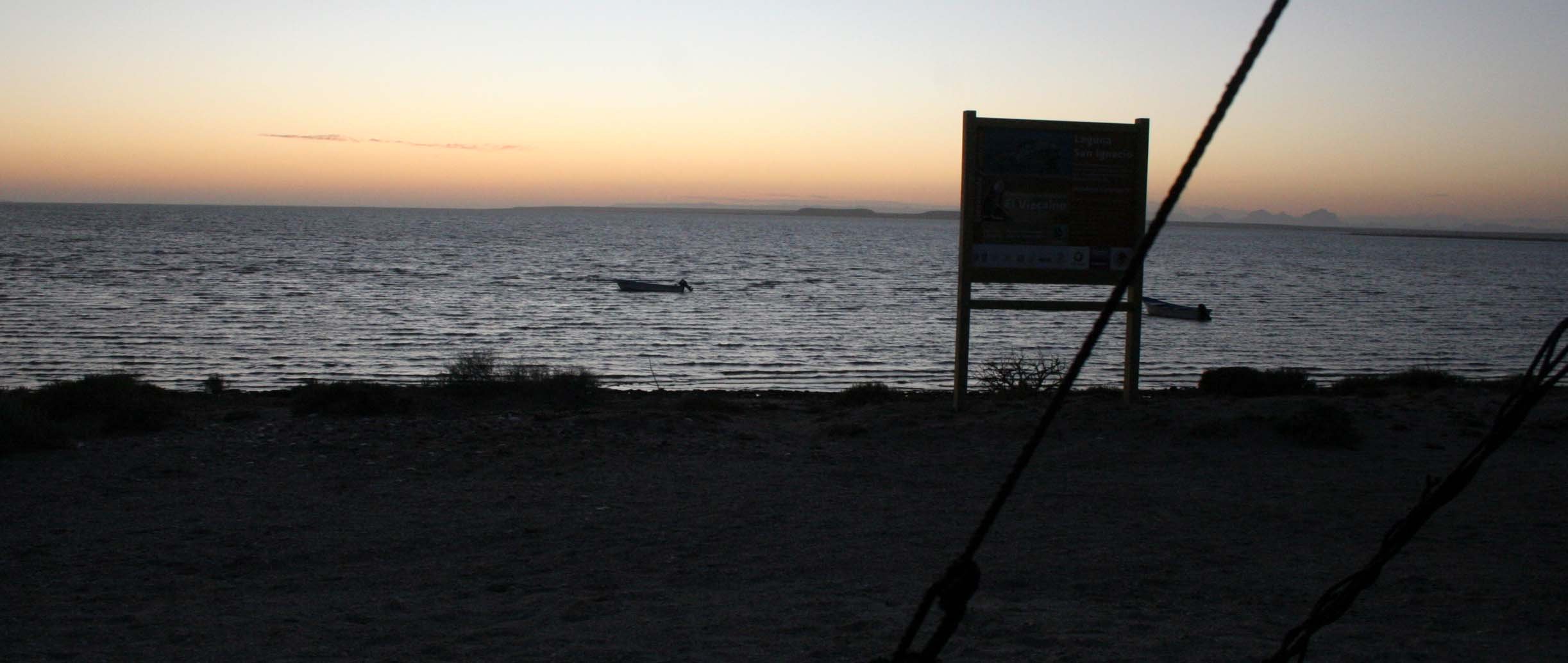 SAN IGNACIO LAGOON BAJA MEXICO - PACHICOS CAMP (5).JPG