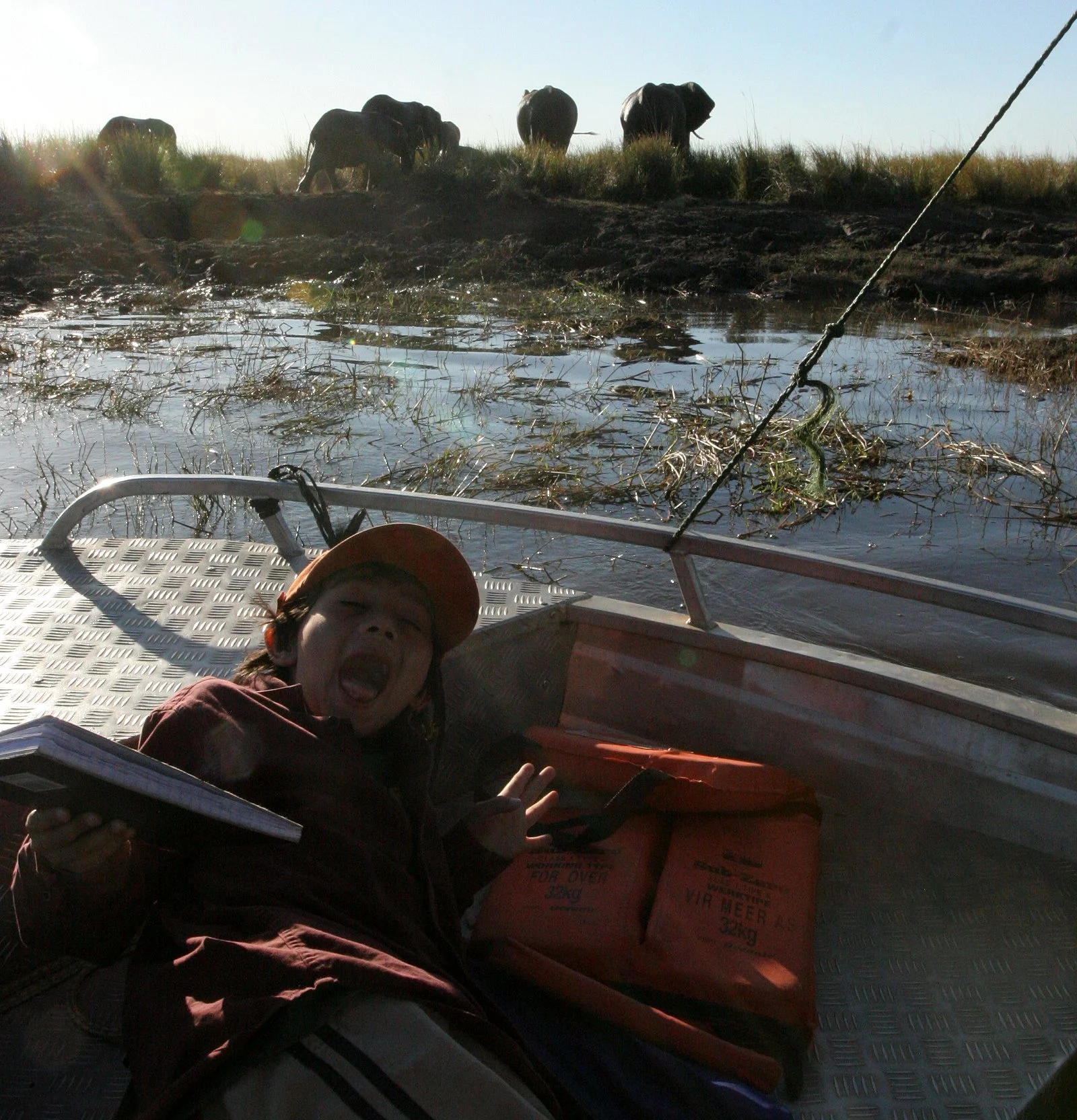 BOTSWANA - CHOBE NATIONAL PARK SUNSET CRUISE (4).JPG