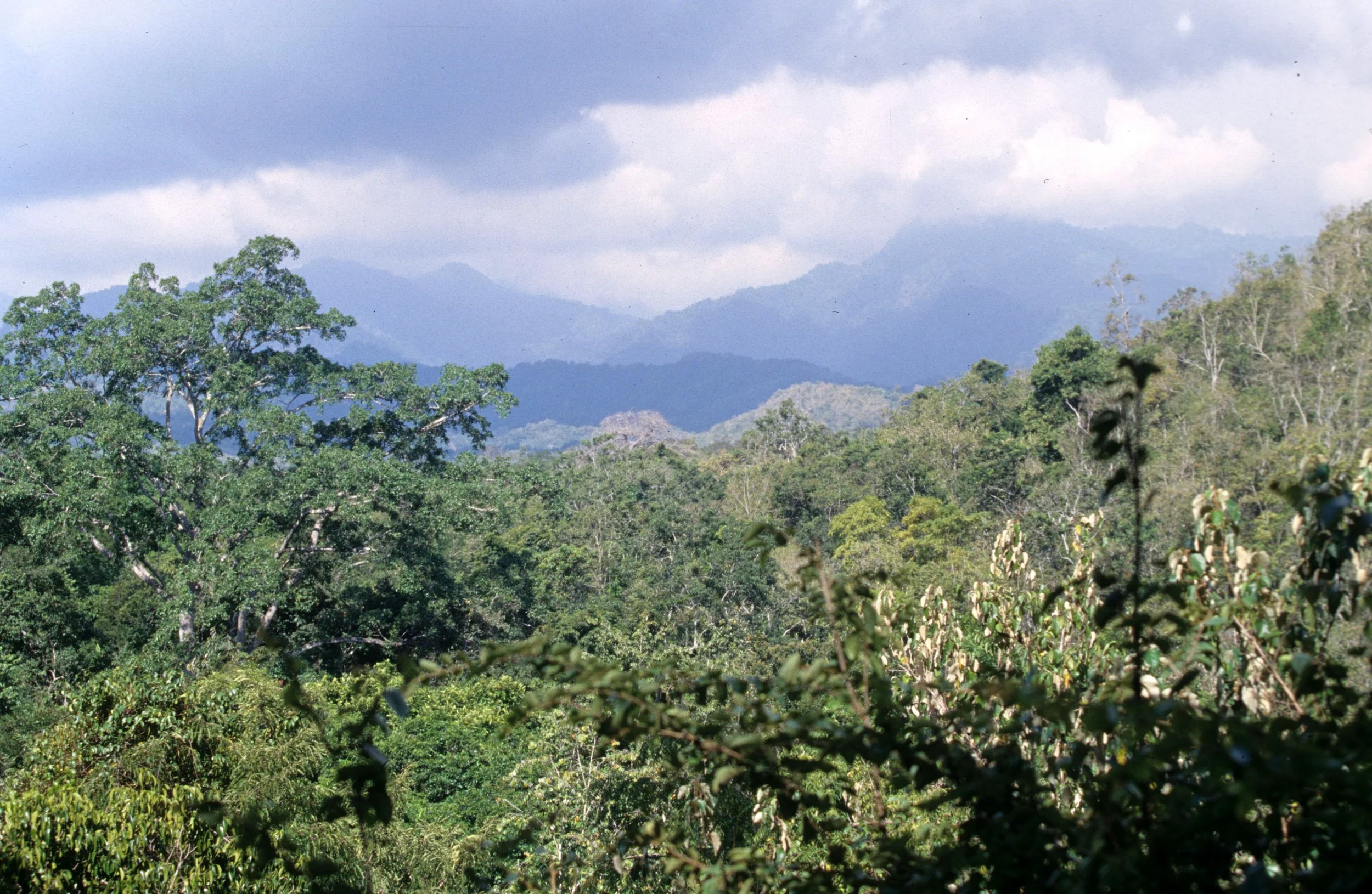 BALI - BALI BARAT NP - VIEW.jpg