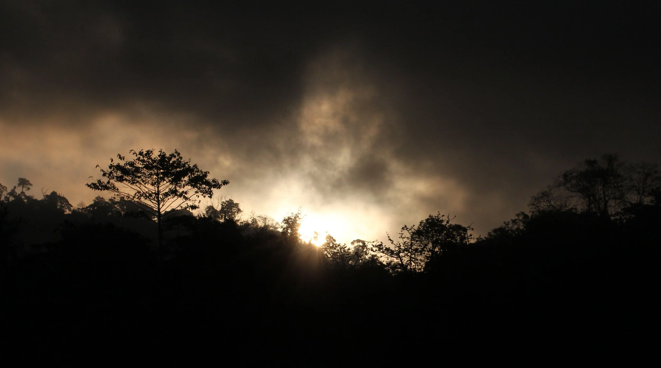 KHAO PANG MA NONHUNTING AREA THAILAND RAW (32).jpg