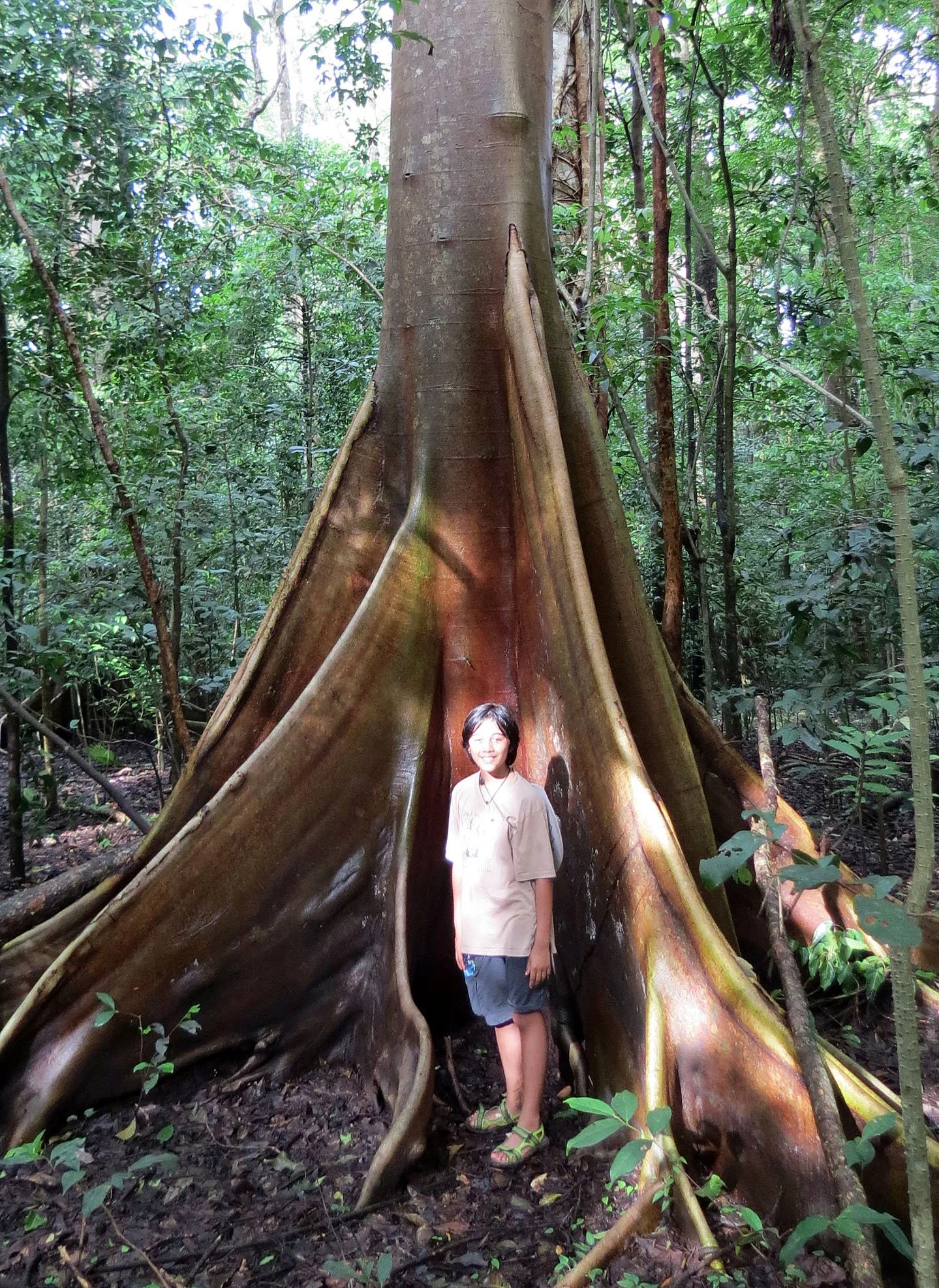 TANGKOKO NATIONAL PARK SULAWESI INDONESIA (103).JPG