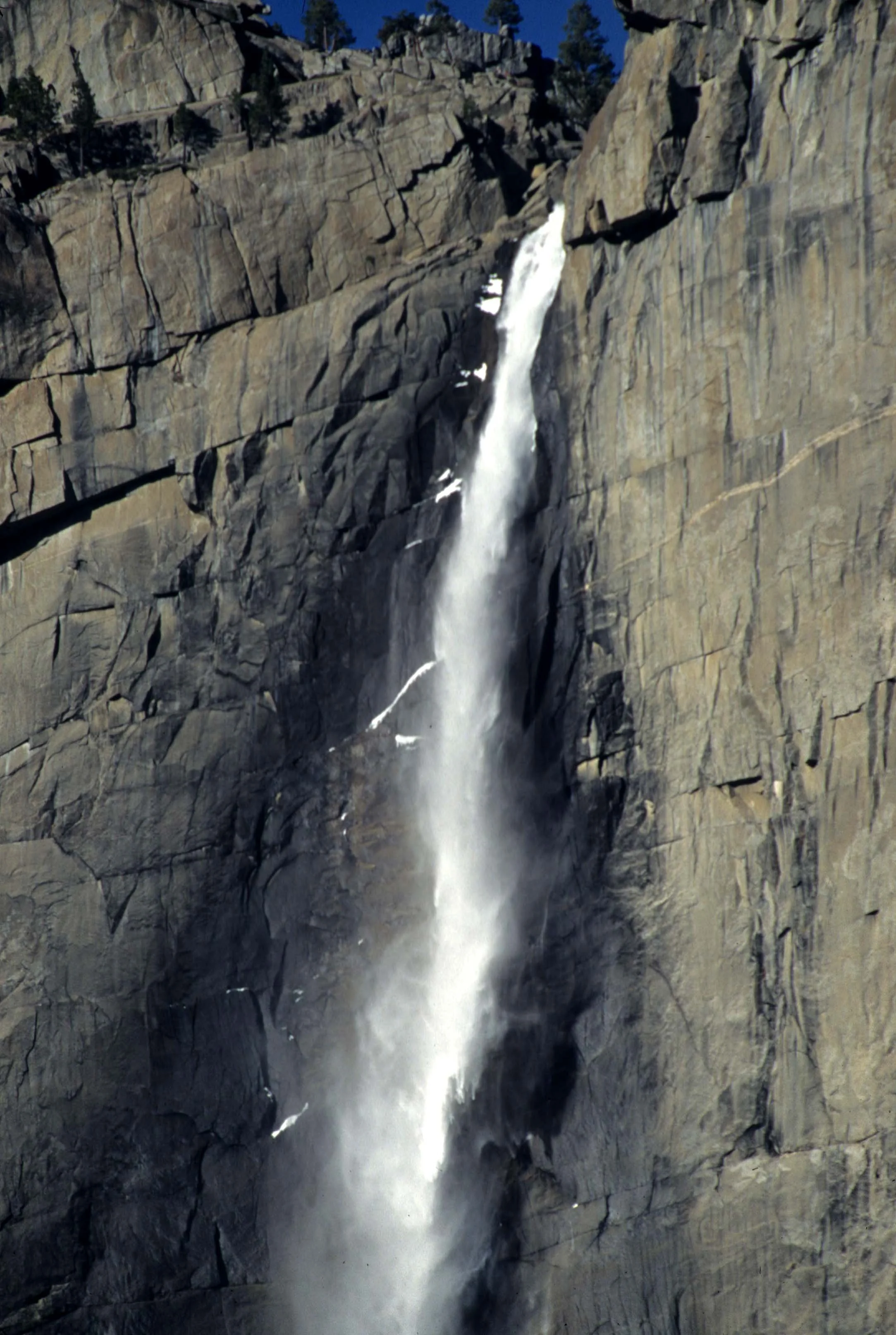 CALIFORNIA - YOSEMITE NATIONAL PARK (10).jpg