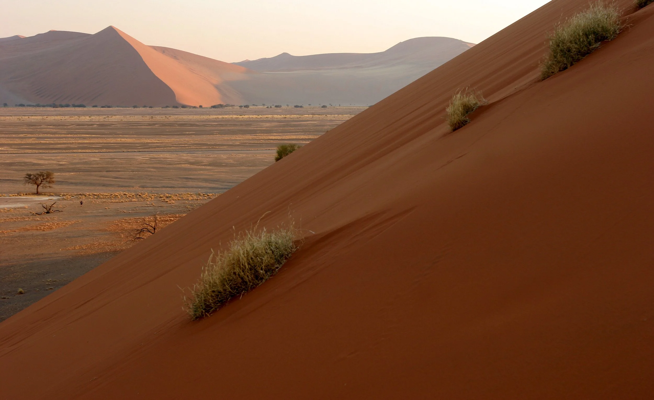NAMIBIA - SOSSUSVLEI - DUNES - NAMIBIA (11).JPG