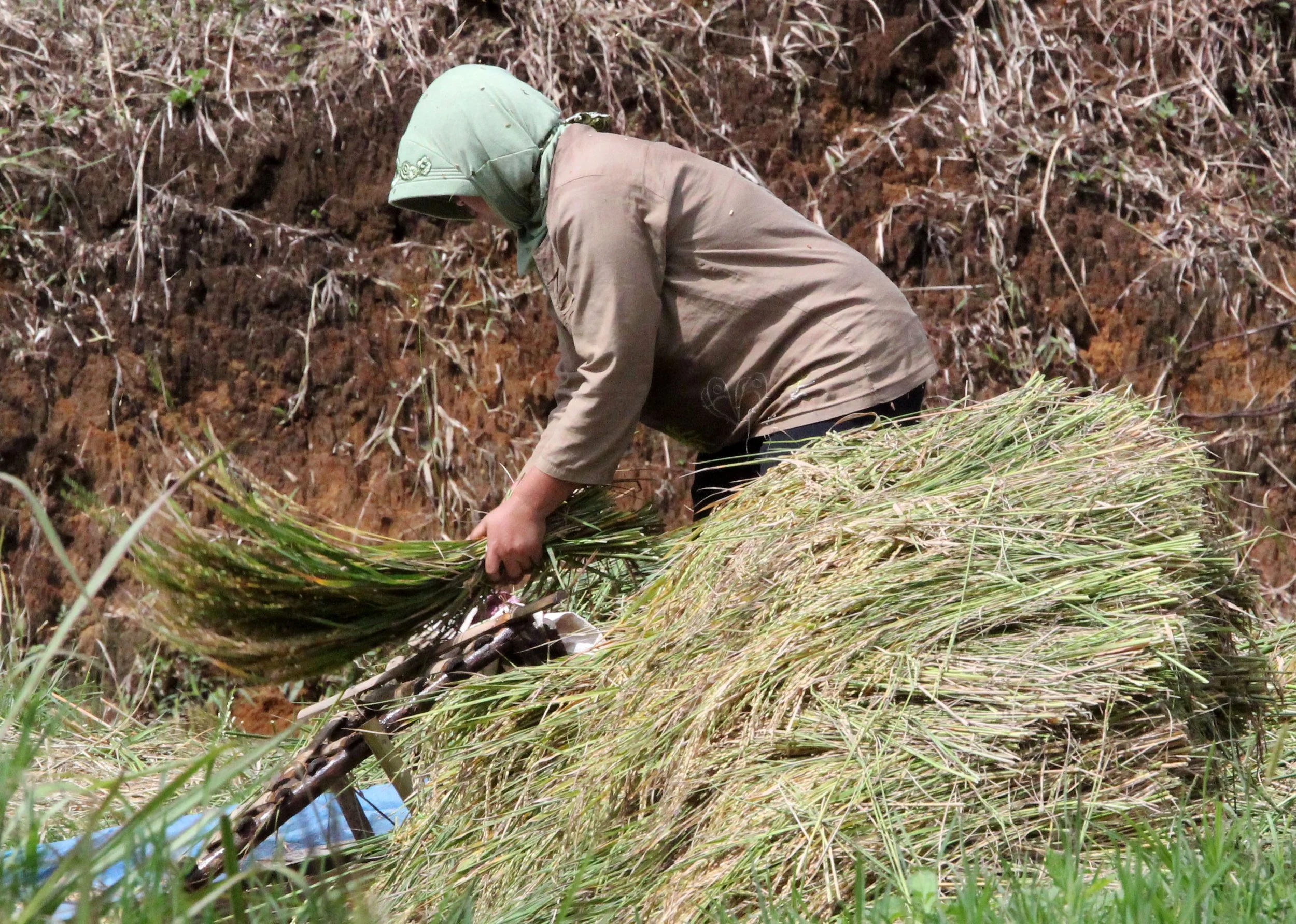 HALIMUN NATIONAL PARK JAVA BARAT INDONESIA (22).JPG
