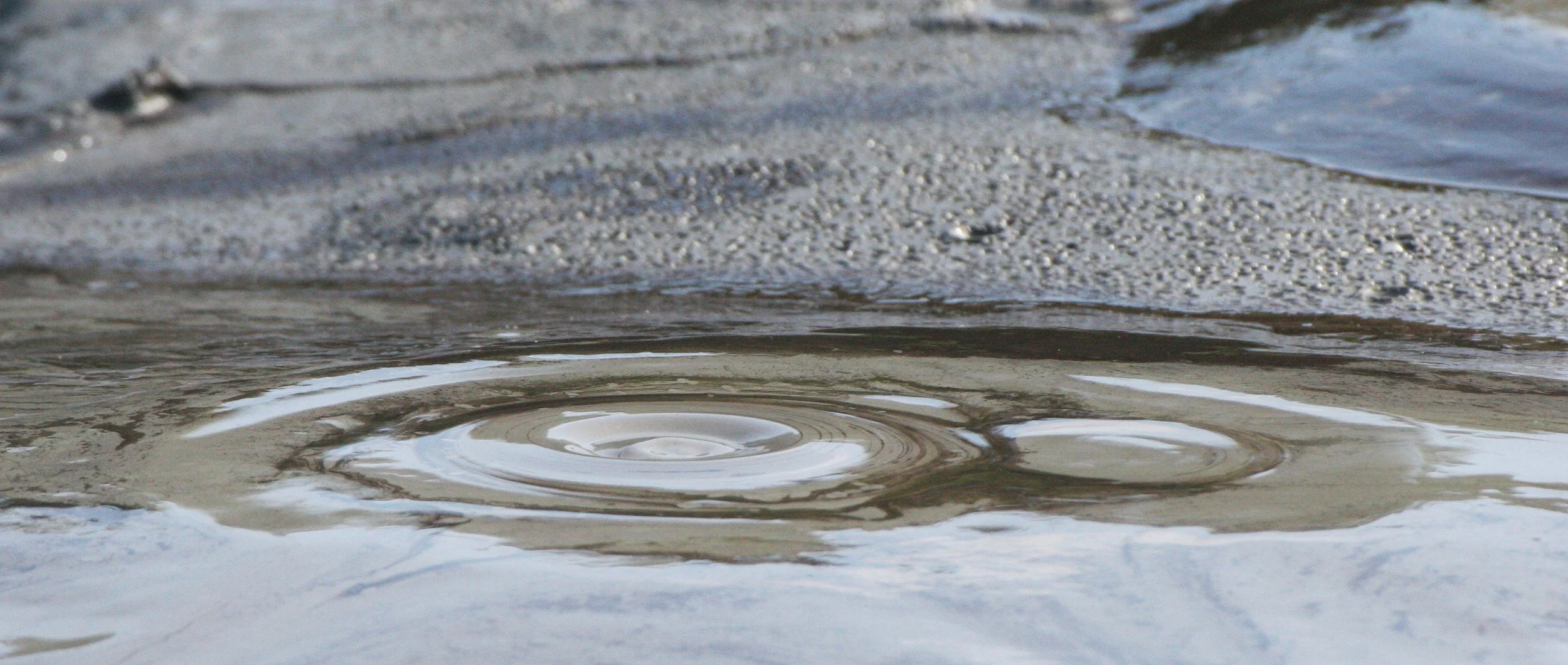 TABIN WILDLIFE RESERVE BORNEO - MUD VOLCANOES (11).JPG