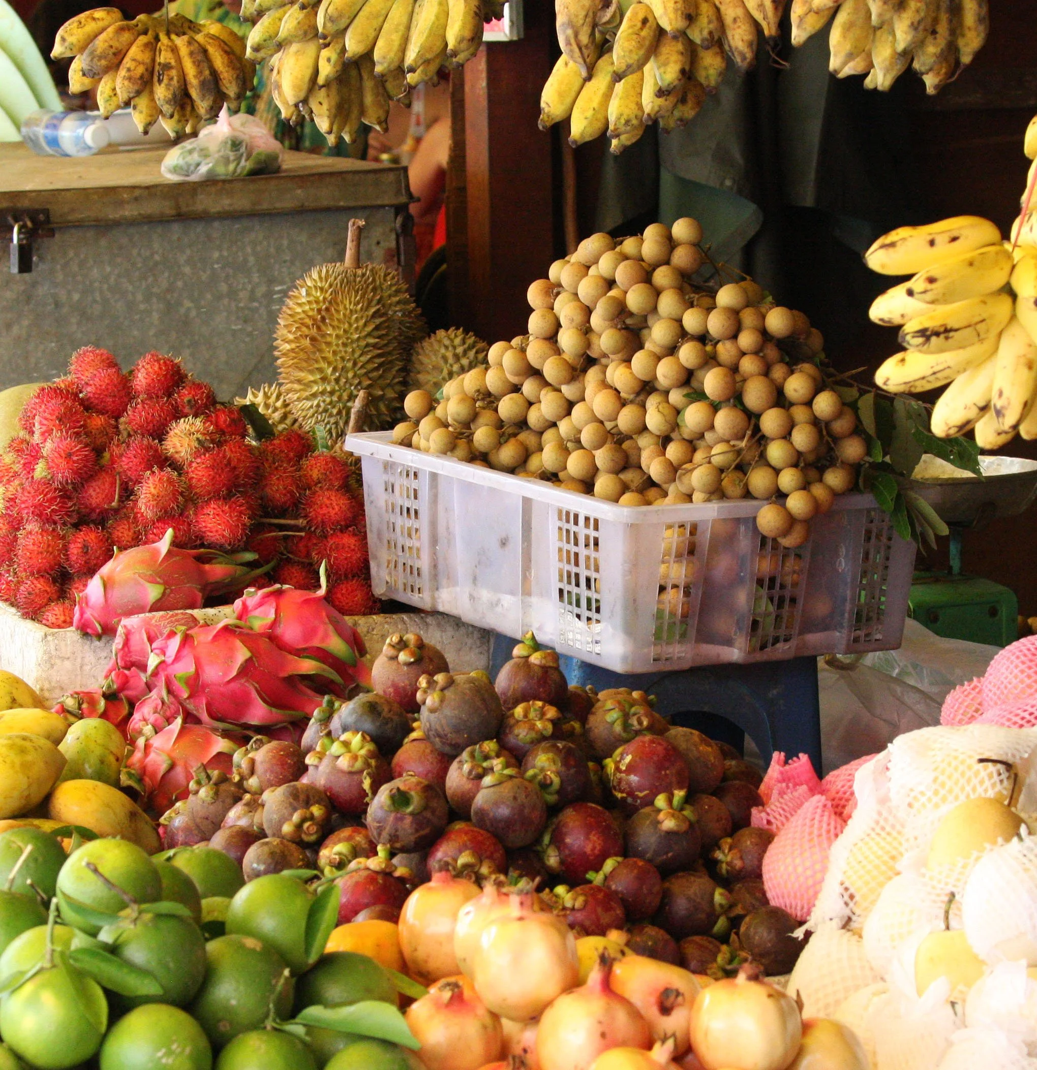 SIEM REAP CAMBODIA - JULY 2010 (46).JPG
