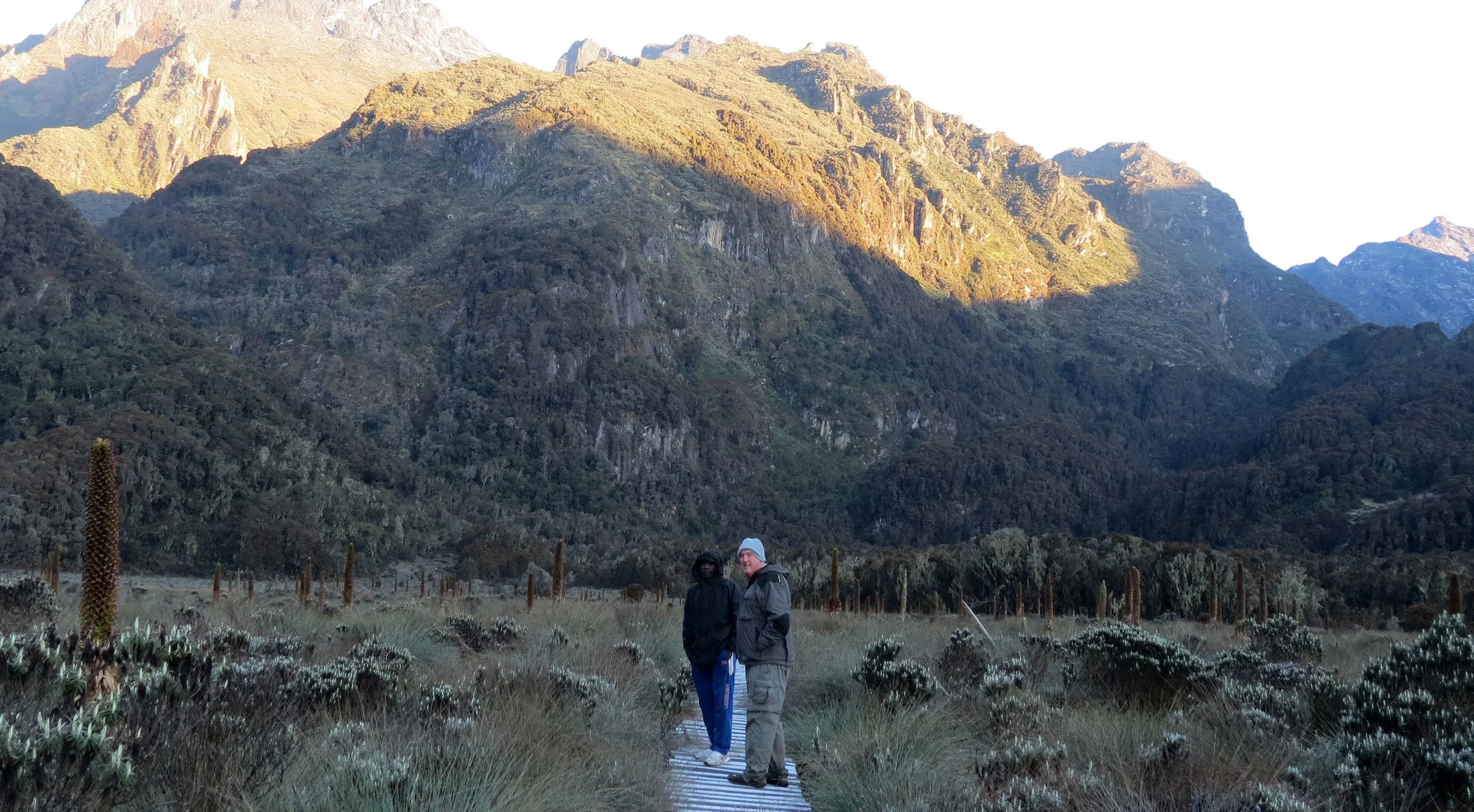 RWENZORI NATIONAL PARK UGANDA (206).JPG