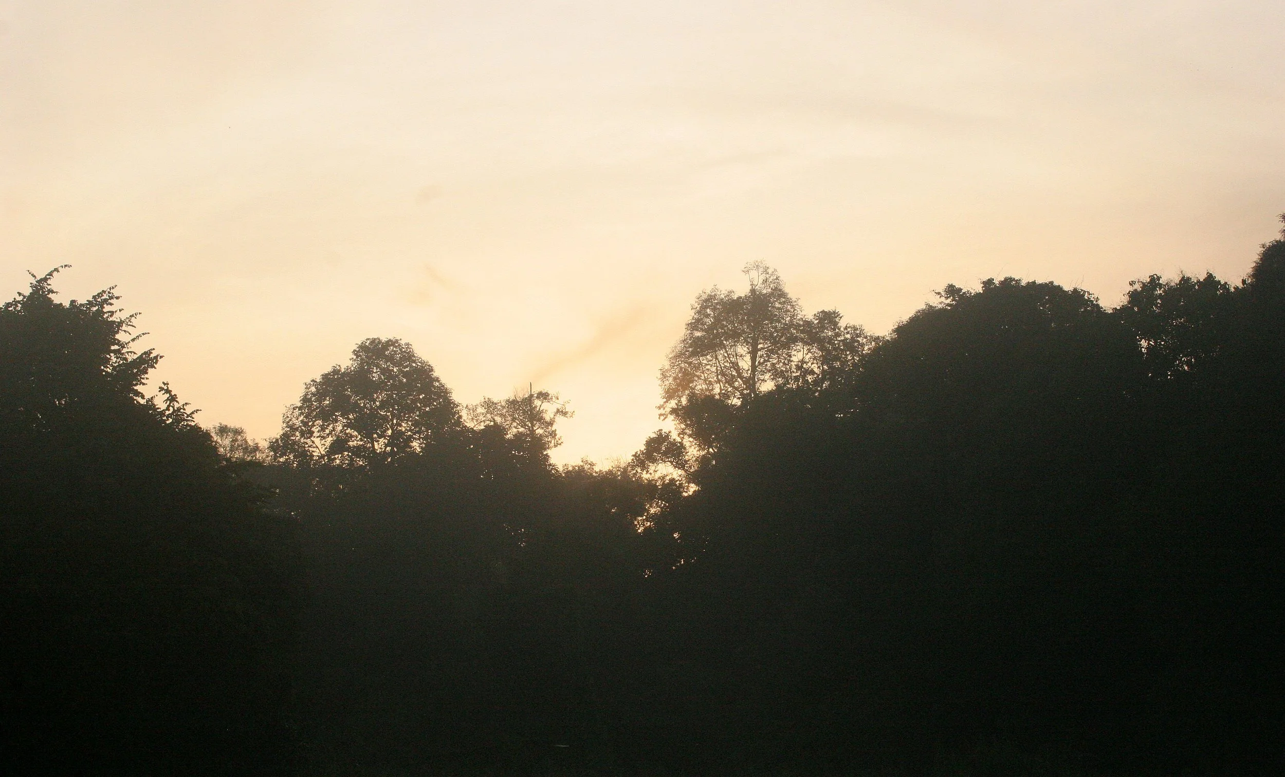 KINABATANGAN RIVER - SUNSET.JPG