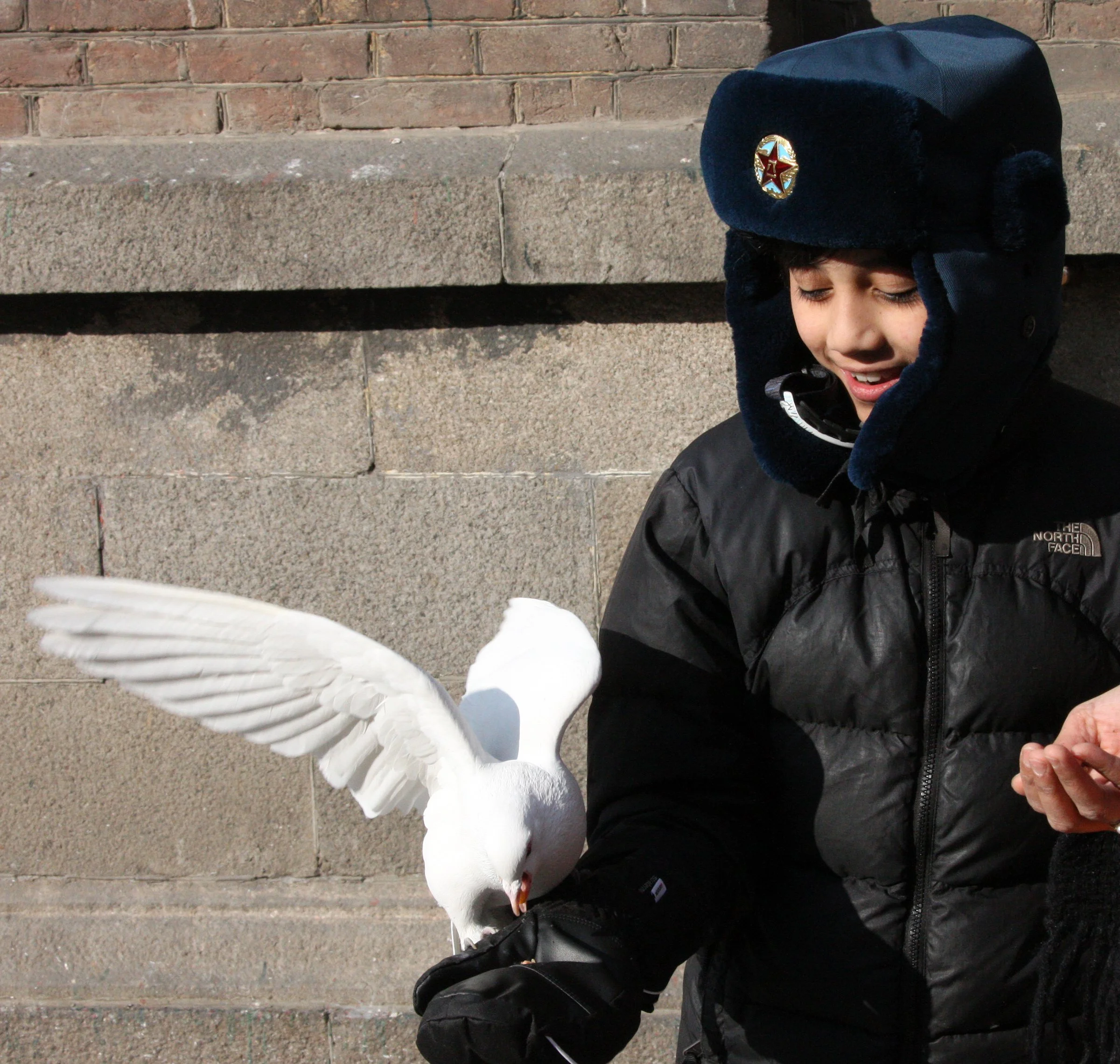 BIRD - PIGEON - HARBIN SAINT SOPHIA'S CATHEDRAL CHINA (39).JPG