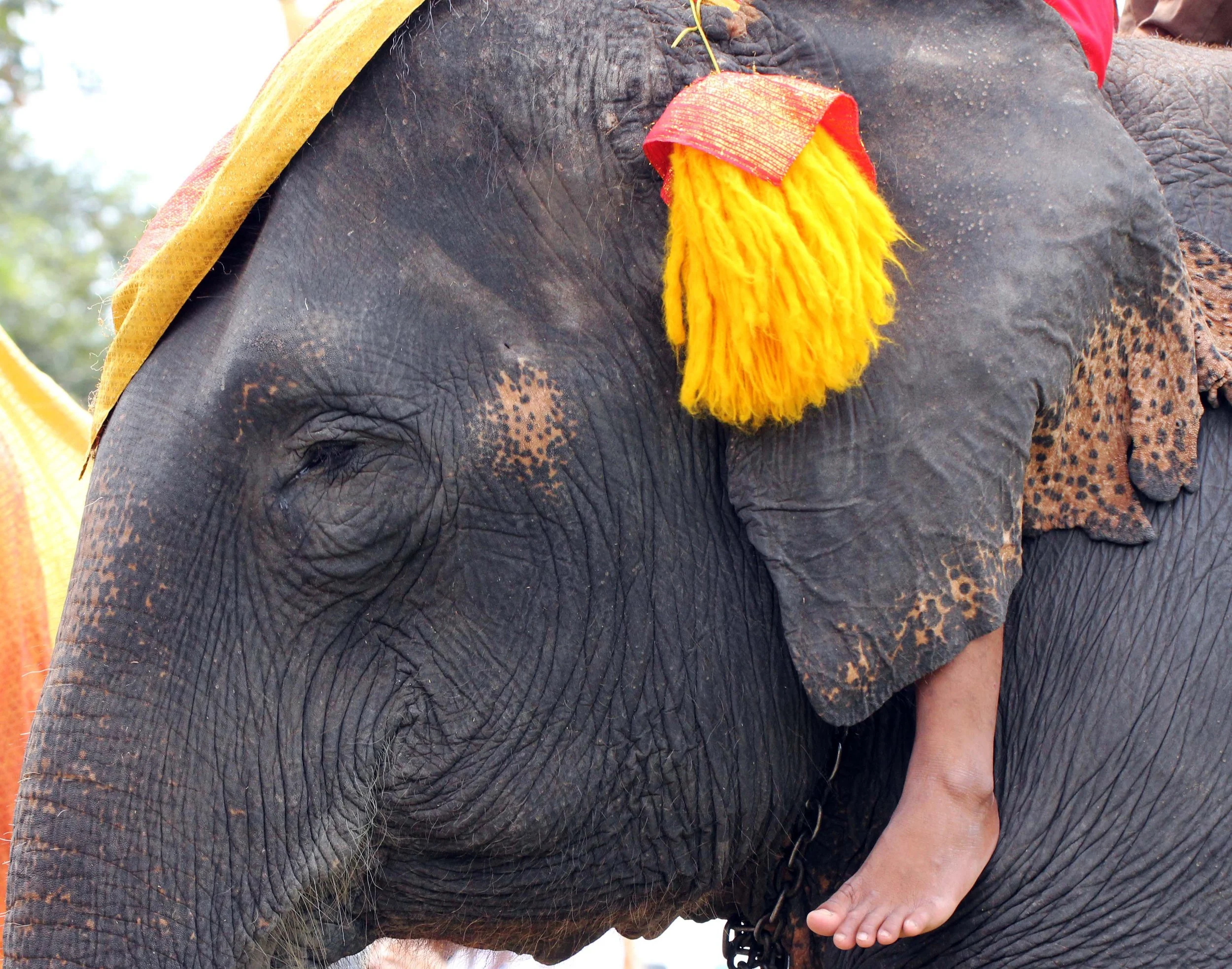 2013 Ayutthaya ISB Passion Day (29).JPG