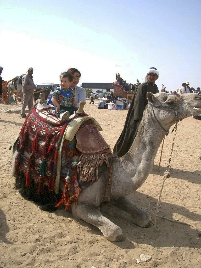 PYRAMIDS - CAMEL RIDES ON GIZA PLATEAU (17).JPG
