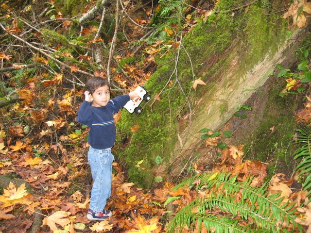 2005-10-22 WALK IN TO OLYMPIC RAINFOREST (7).JPG